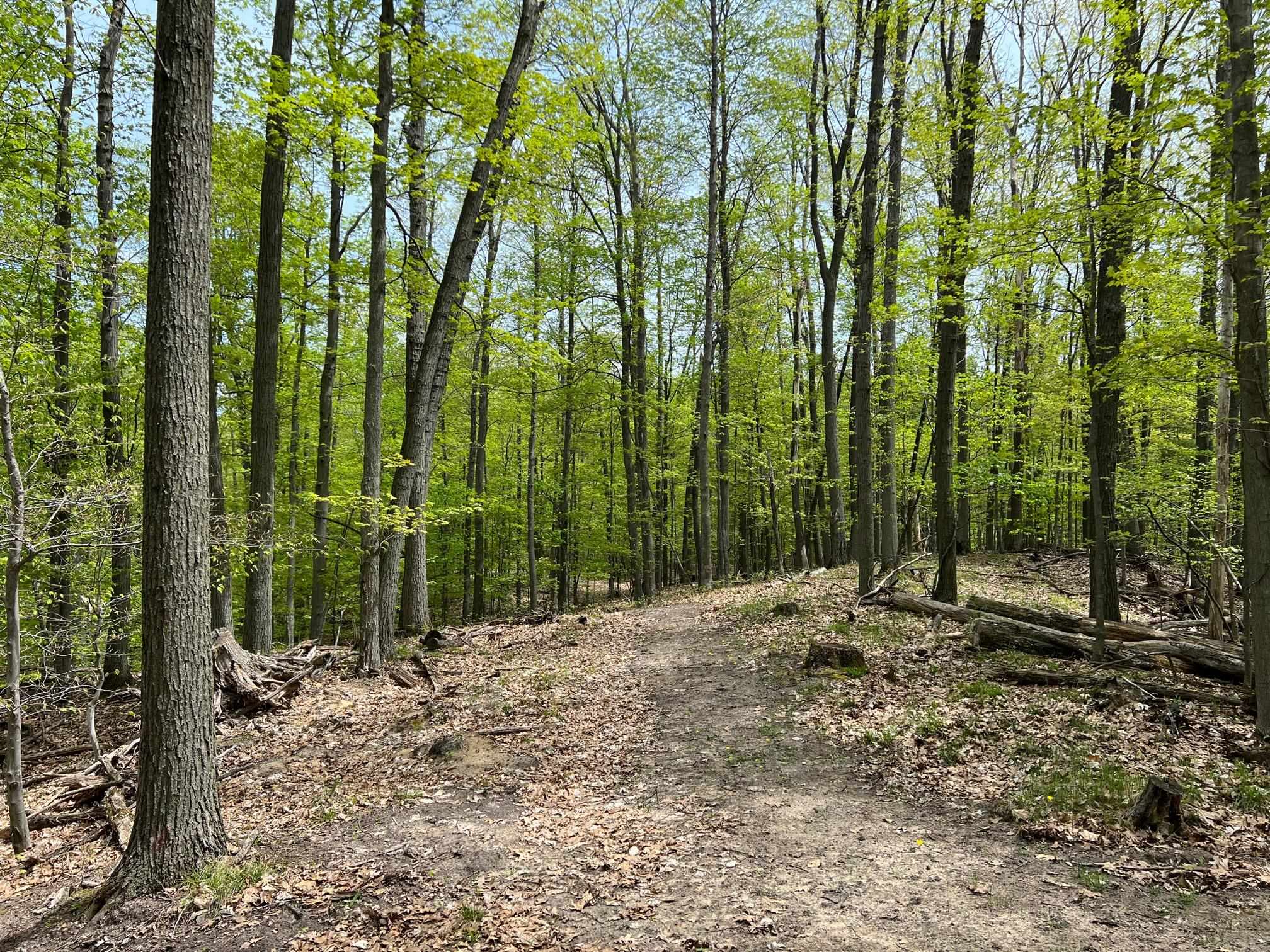 0 Prouty Road Traverse City, MI 49686 - Photo 26 of 40