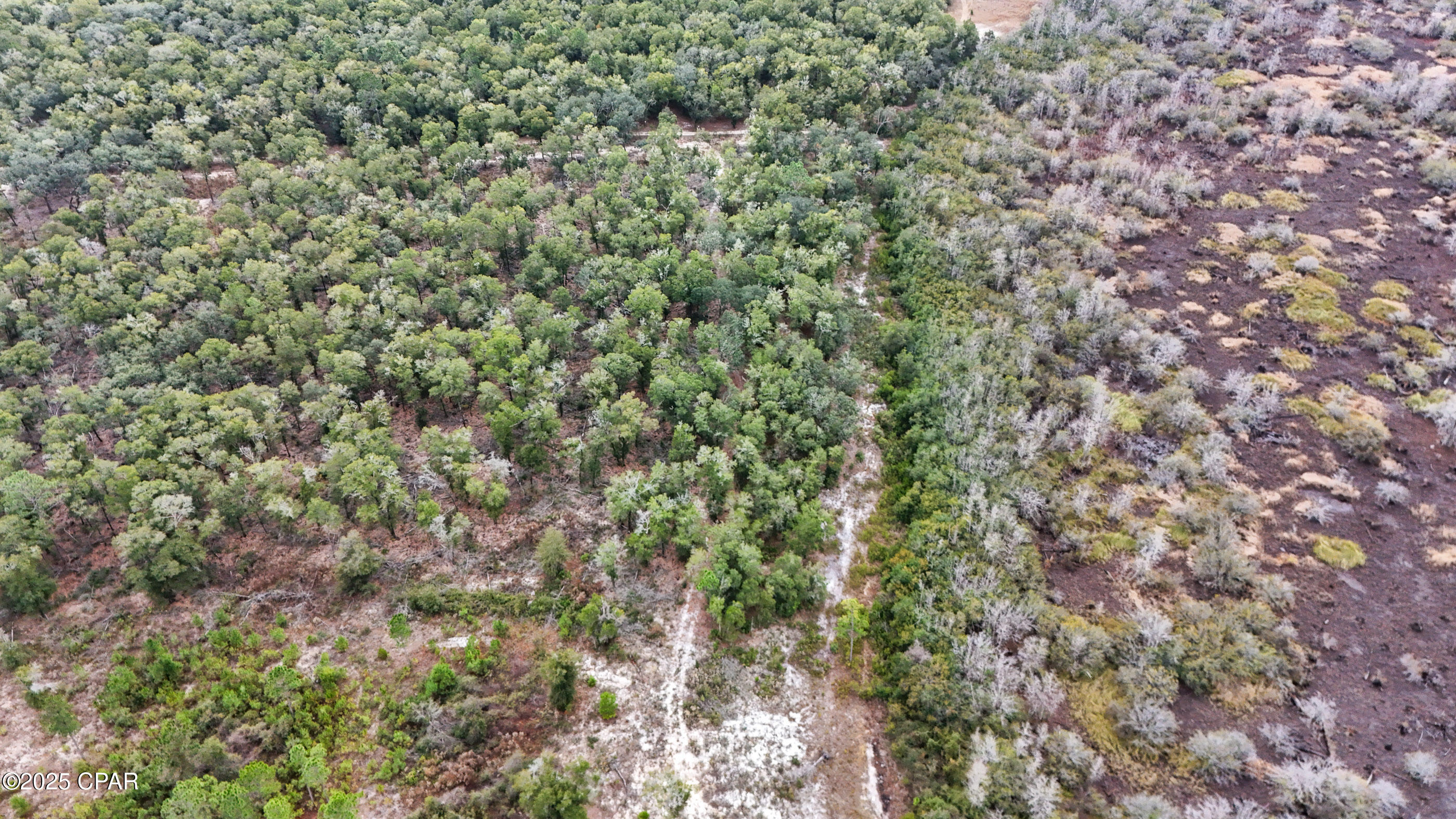 0 Pine Log Road Chipley, FL 32428 - Photo 3 of 7