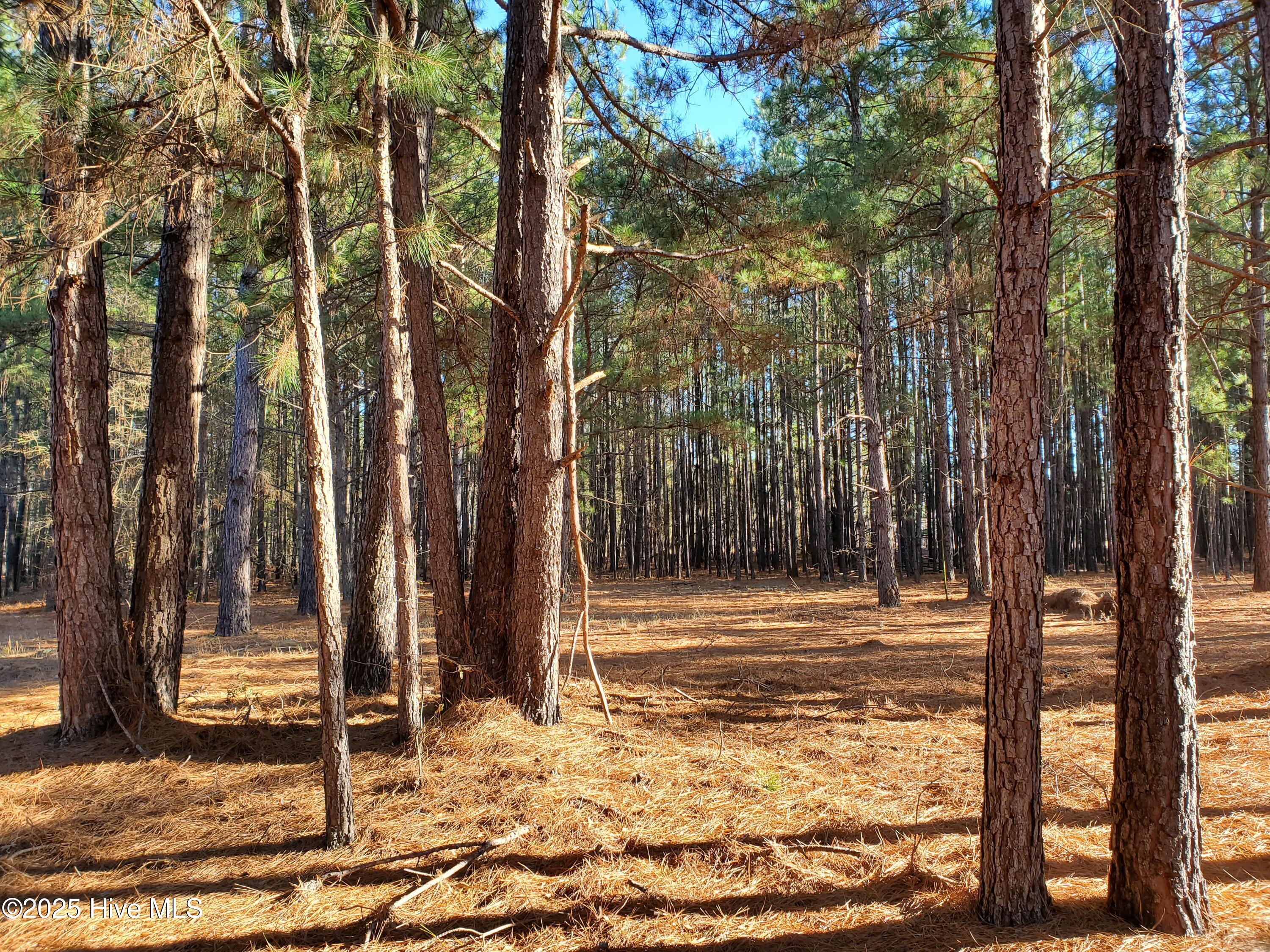 Tbd Crestline Road Laurinburg, NC 28352 - Photo 5 of 11 5