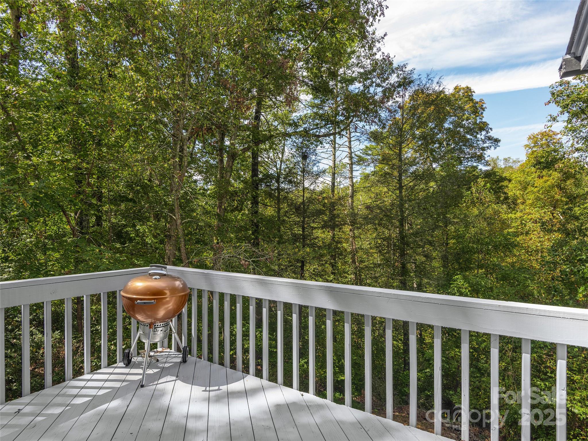 66 High Country Road Weaverville, NC 28787 - Photo 32 of 36 a view of balcony with furniture