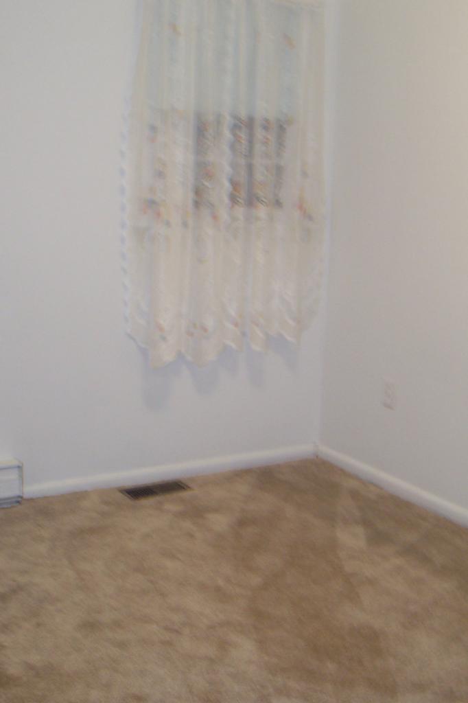 1801 Mountain Valley Road Vinton, VA 24179 - Photo 6 of 10 2 Bedroom