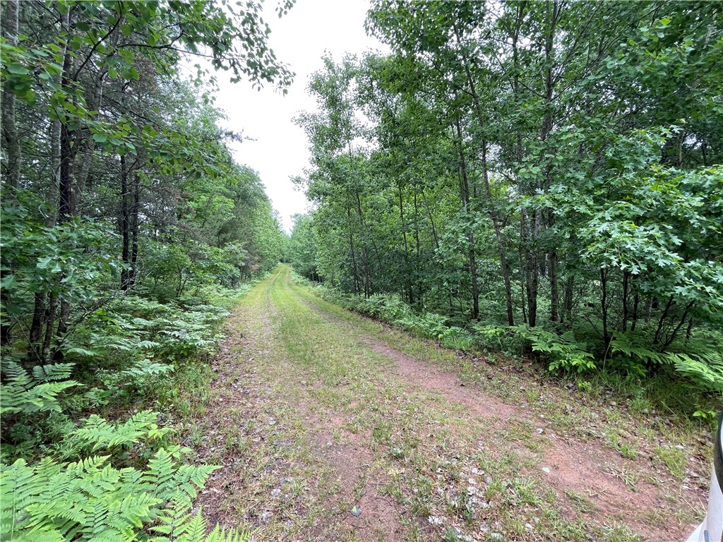 0 Loon Lake Road Spooner, WI 54801 - Photo 4 of 28