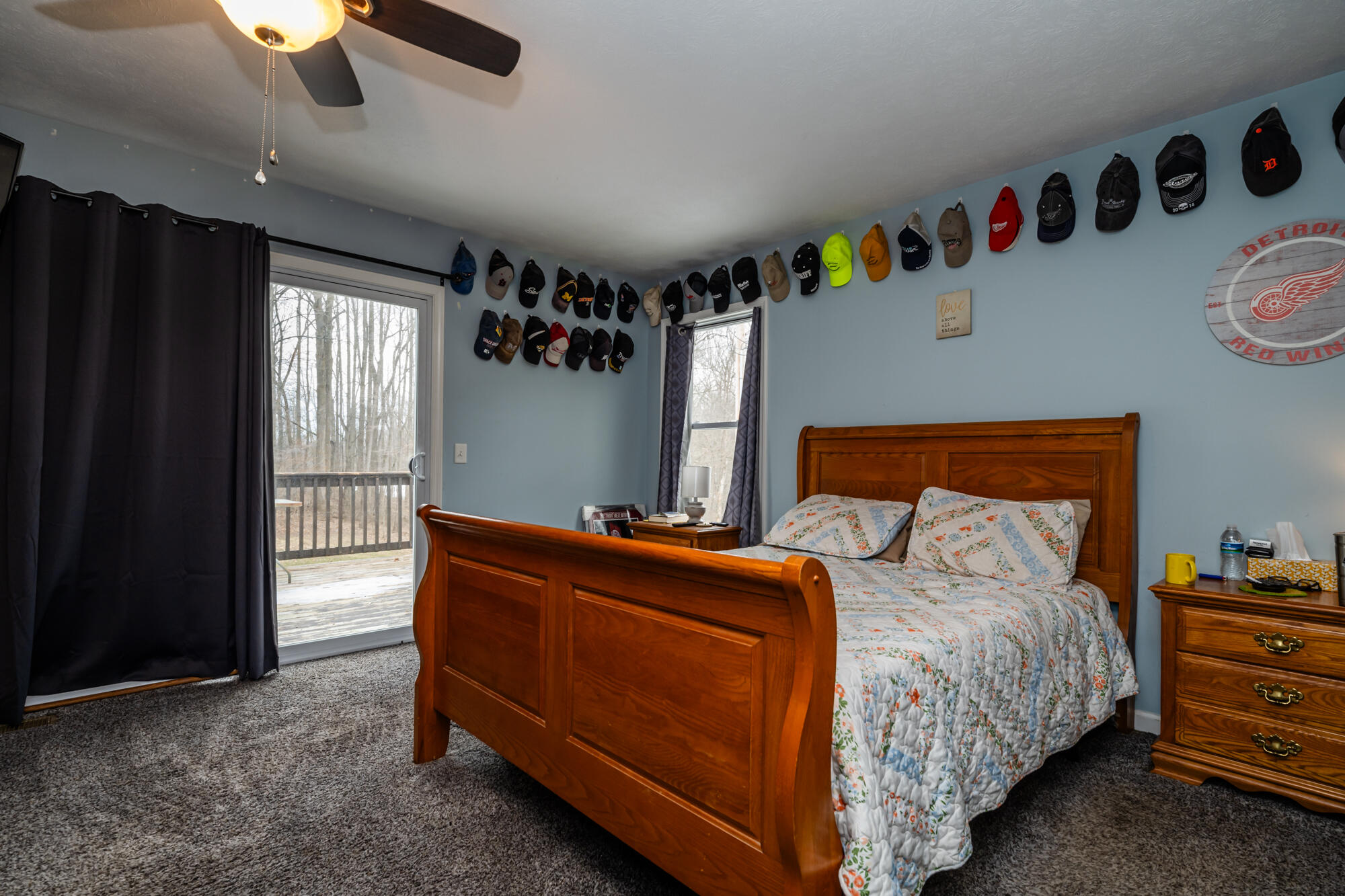 3045 Little Glendora Road Buchanan, MI 49107 - Photo 12 of 30 Lt Glendora-113