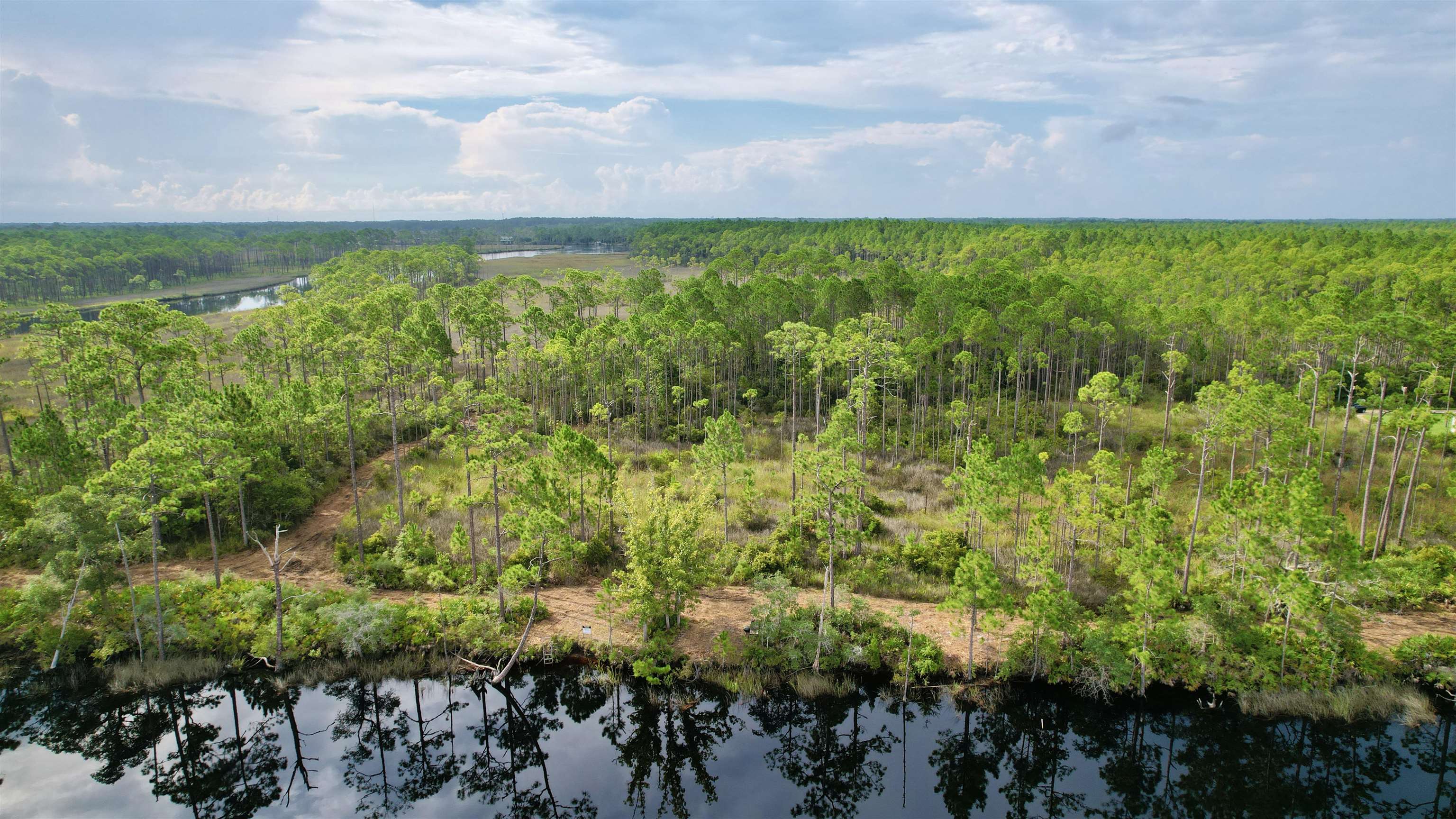 Xx Mill Road Carrabelle, FL 32322 - Photo 12 of 17