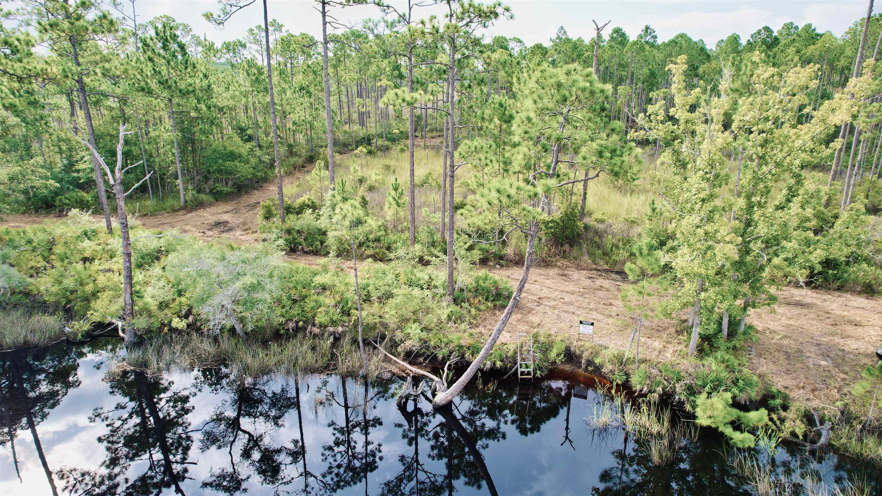 Xx Mill Road Carrabelle, FL 32322 - Photo 13 of 17