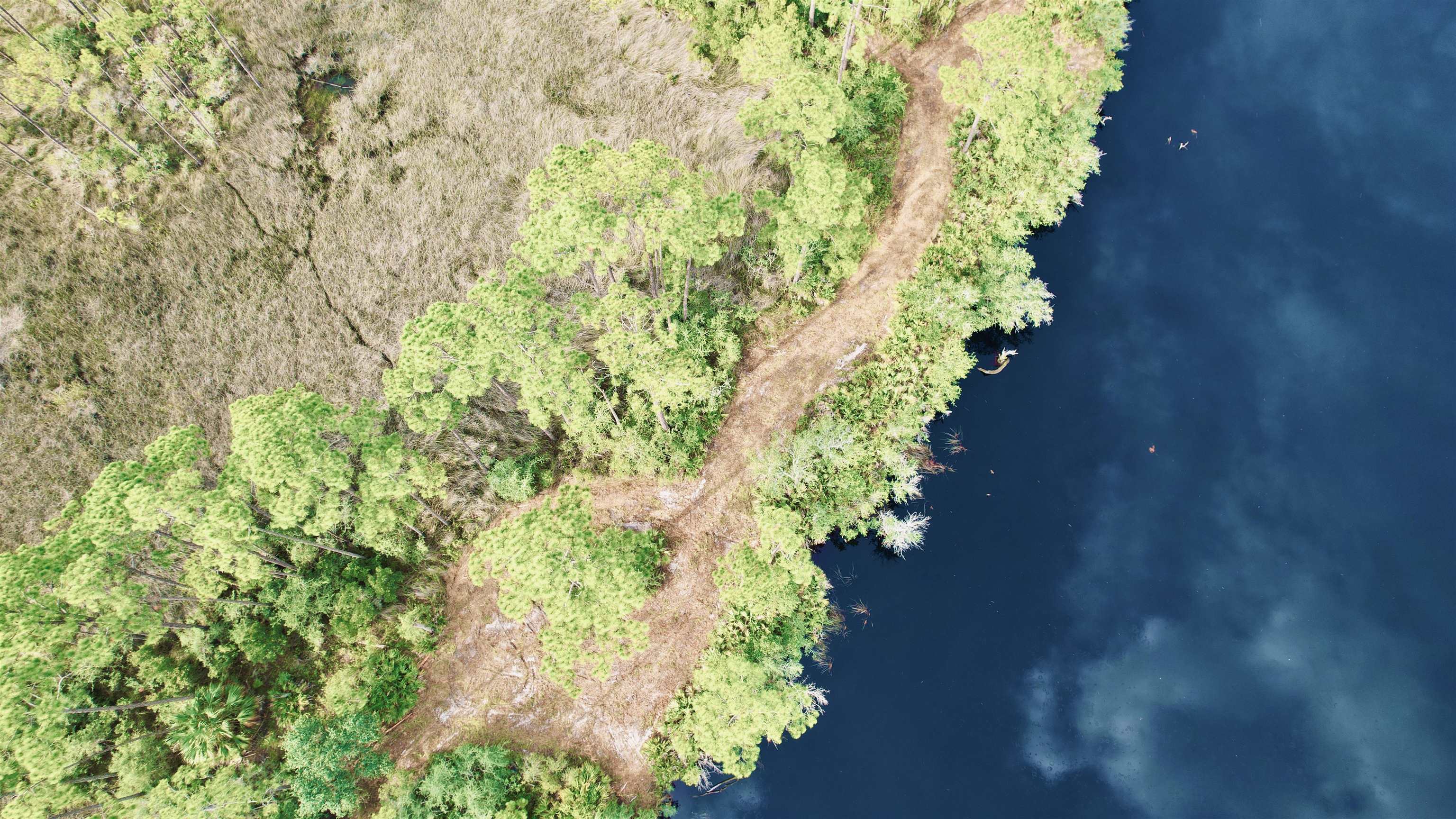 Xx Mill Road Carrabelle, FL 32322 - Photo 17 of 17