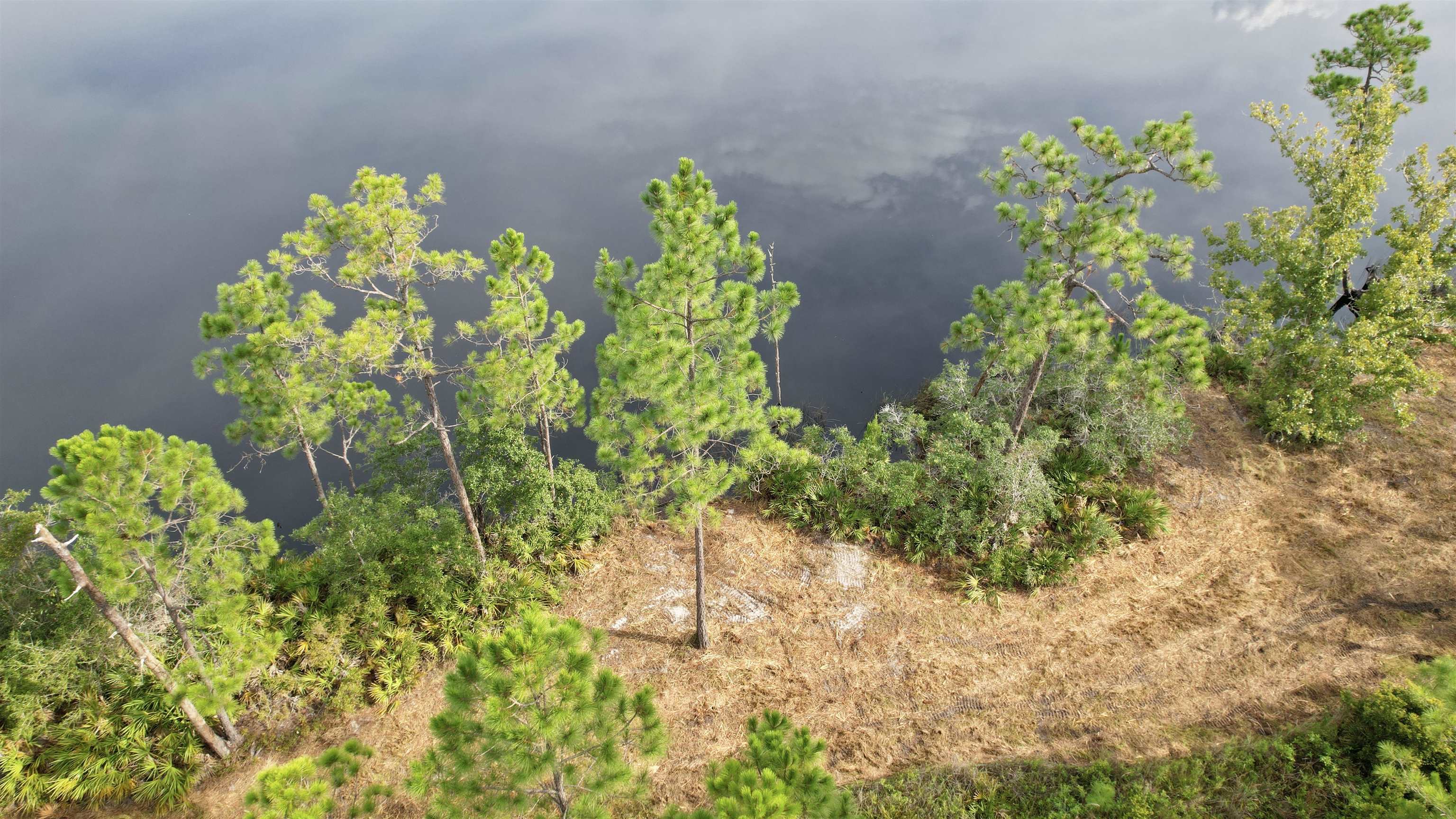 Xx Mill Road Carrabelle, FL 32322 - Photo 4 of 17