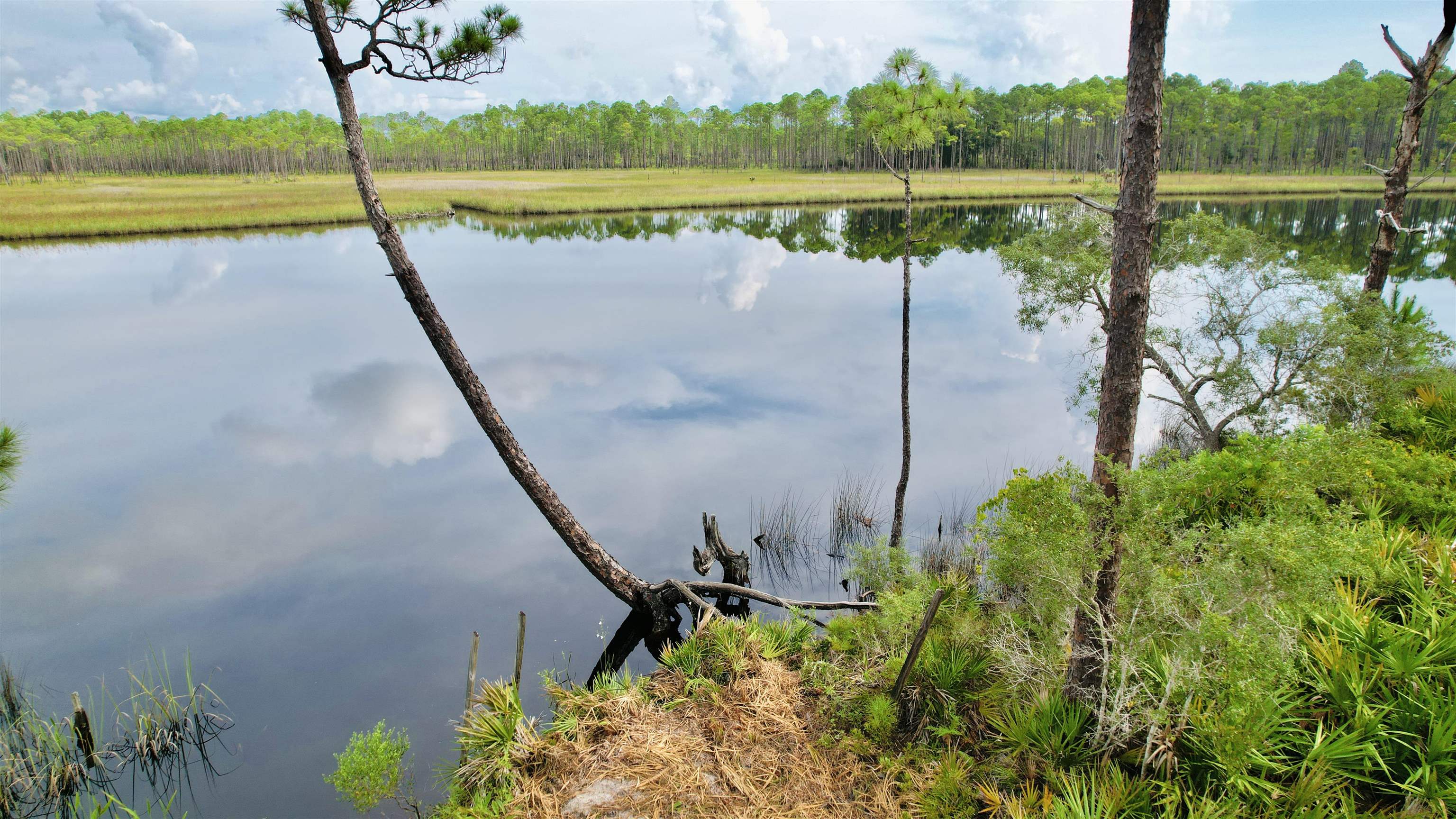 Xx Mill Road Carrabelle, FL 32322 - Photo 5 of 17