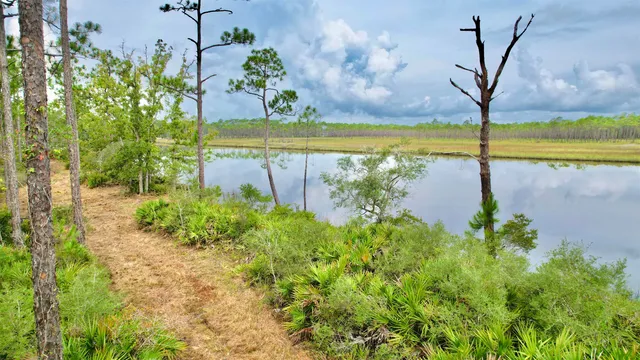 $398,000 | Xx Mill Road, Carrabelle, FL 32322