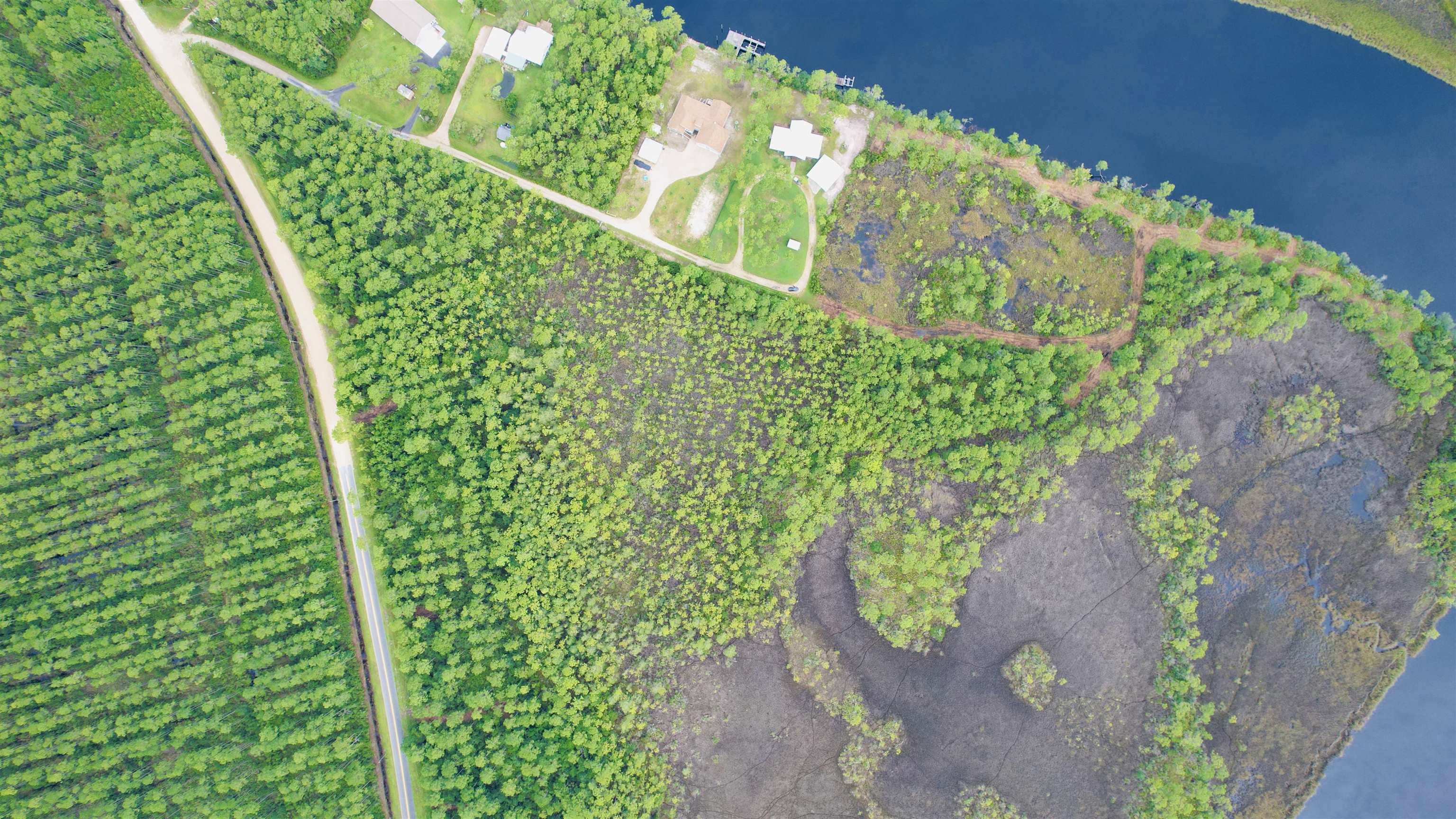 Xx Mill Road Carrabelle, FL 32322 - Photo 8 of 17