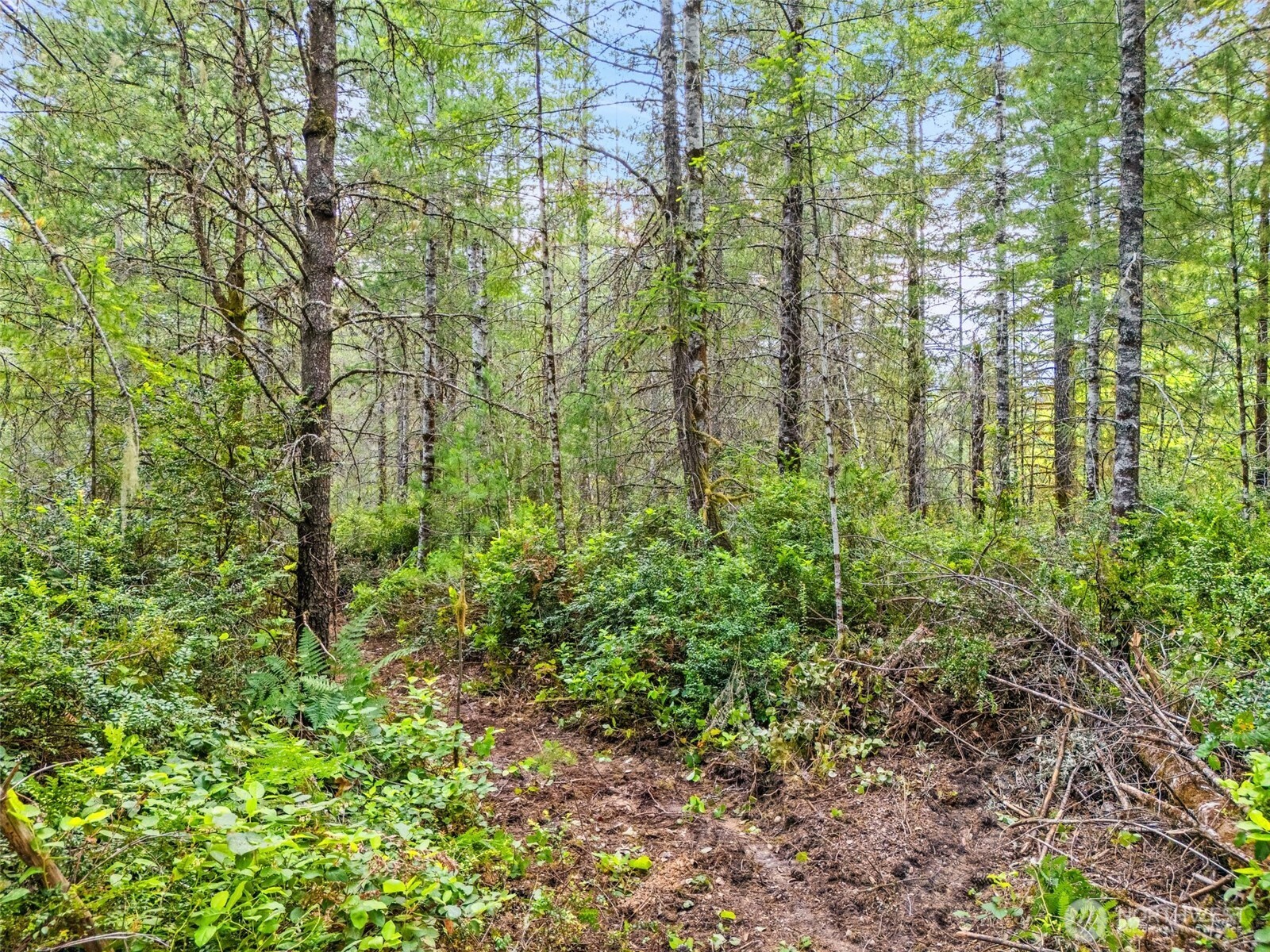 400 Northeast Trudeau Mountain Road Belfair, WA 98528 - Photo 14 of 32 a view of a garden