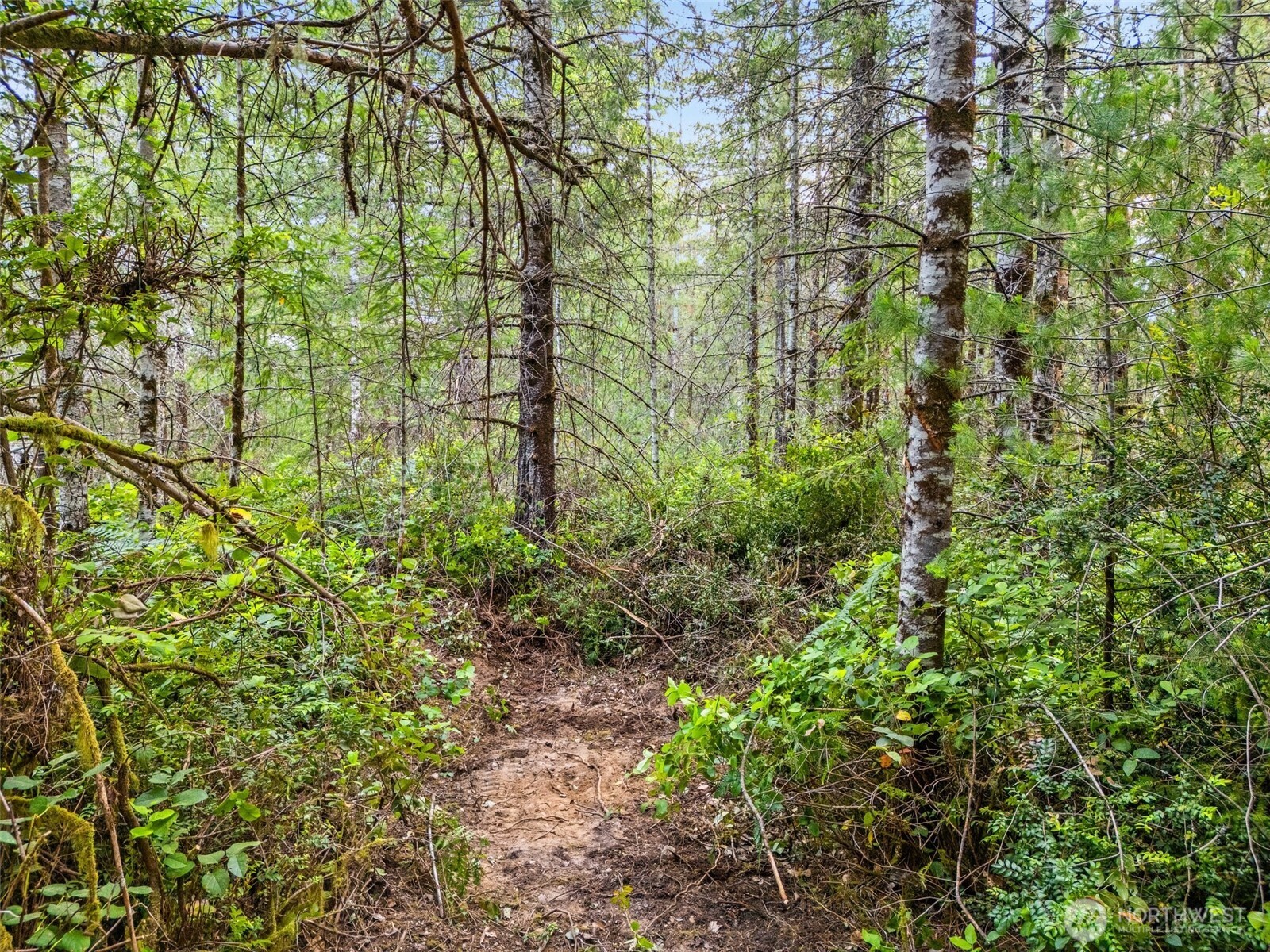 400 Northeast Trudeau Mountain Road Belfair, WA 98528 - Photo 15 of 32 a view of a garden