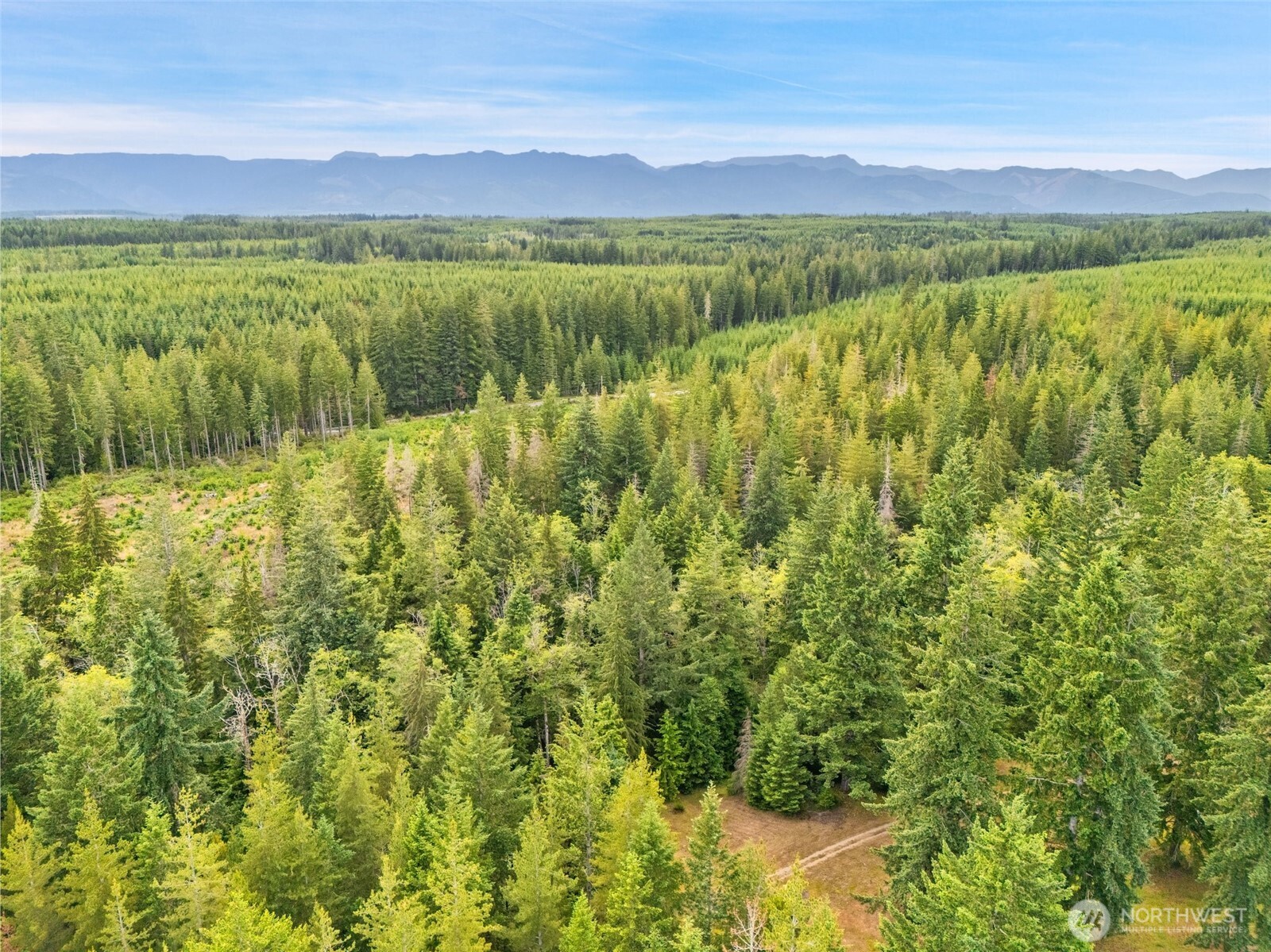 400 Northeast Trudeau Mountain Road Belfair, WA 98528 - Photo 17 of 32 a view of a green field with an ocean