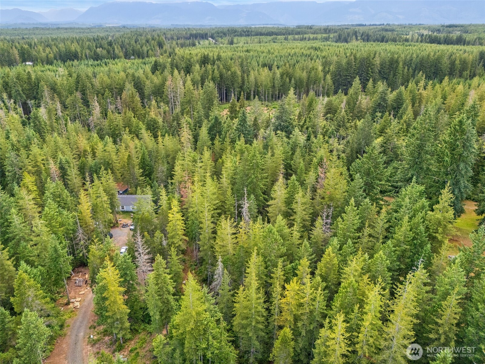 400 Northeast Trudeau Mountain Road Belfair, WA 98528 - Photo 18 of 32 a view of a lush green outdoor space with a lake view and mountain view