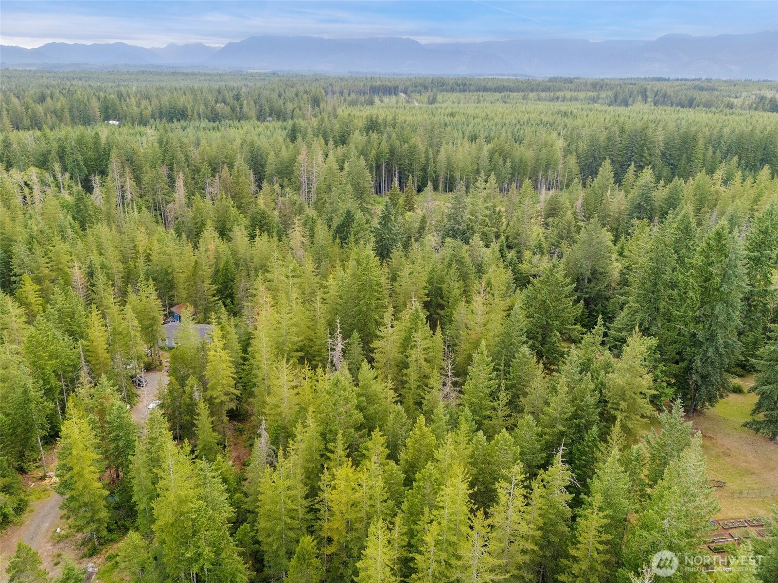 400 Northeast Trudeau Mountain Road Belfair, WA 98528 - Photo 19 of 32 a view of a lush green forest with a lake and mountain view