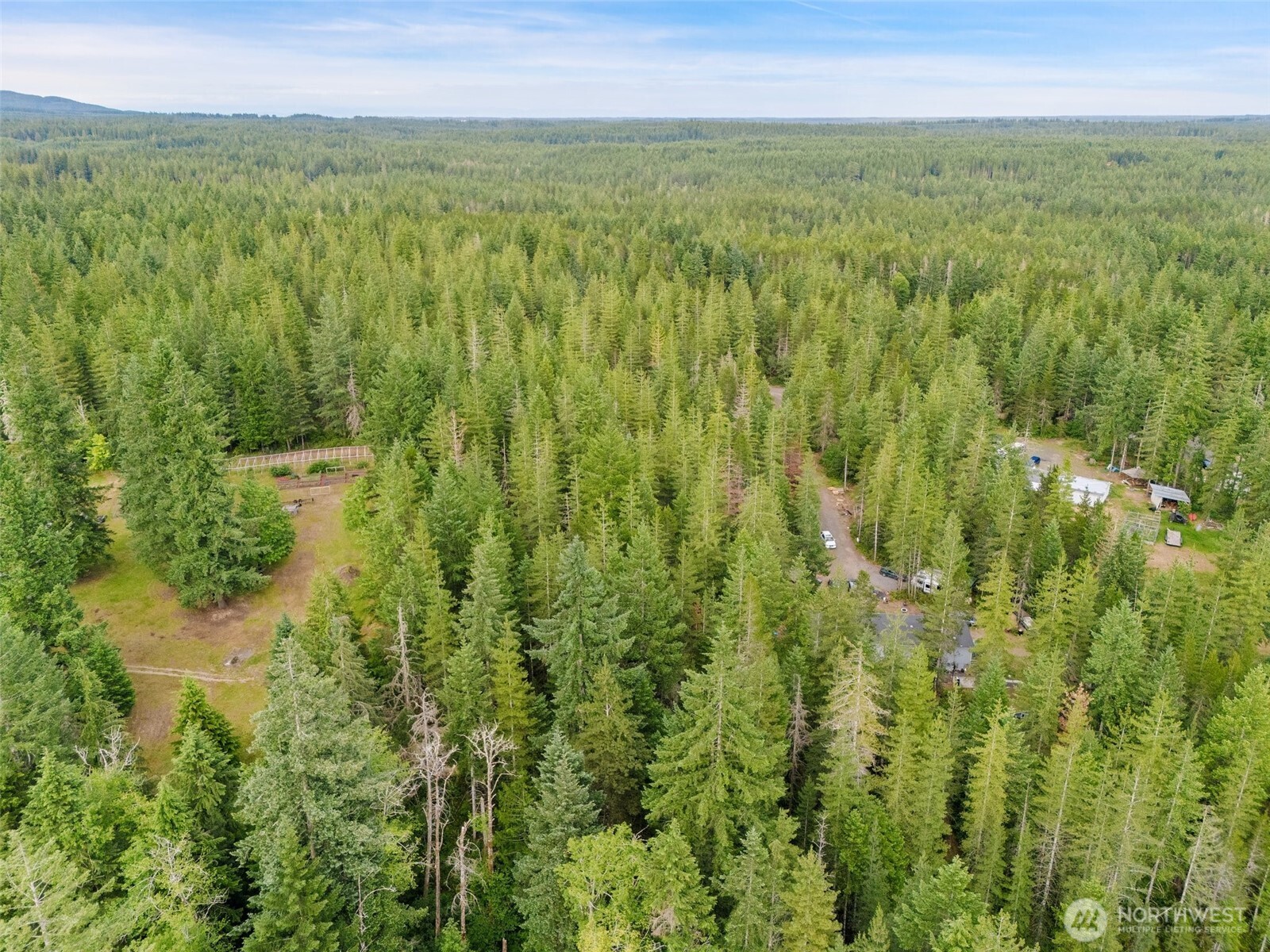 400 Northeast Trudeau Mountain Road Belfair, WA 98528 - Photo 20 of 32 a view of a green field with lots of bushes