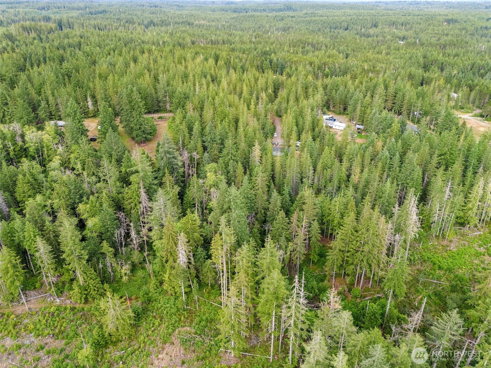 400 Northeast Trudeau Mountain Road Belfair, WA 98528 - Photo 21 of 32