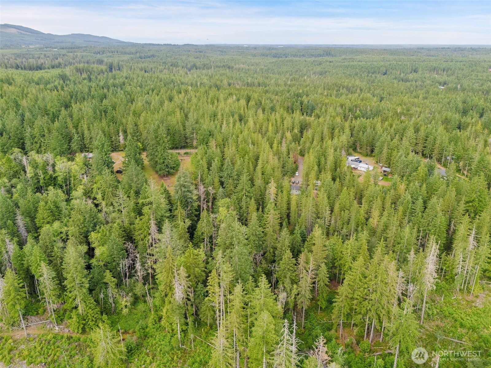 400 Northeast Trudeau Mountain Road Belfair, WA 98528 - Photo 22 of 32 a view of a lush green forest with trees and some houses