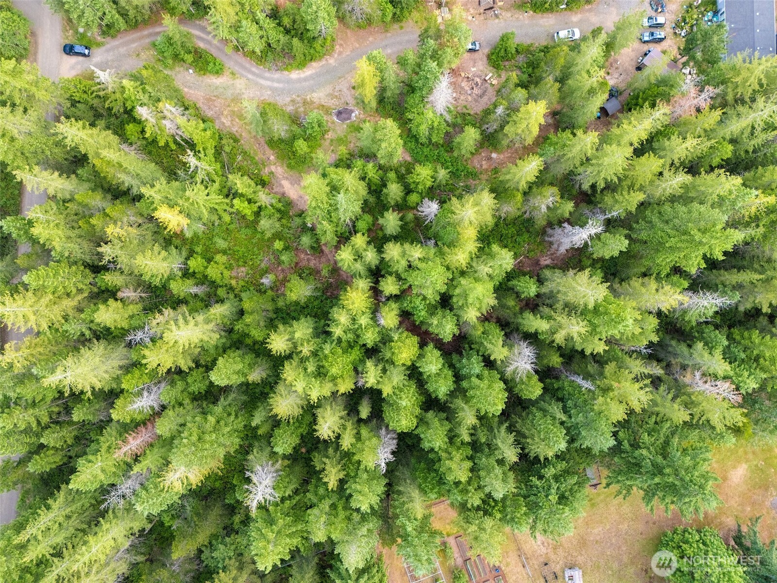 400 Northeast Trudeau Mountain Road Belfair, WA 98528 - Photo 24 of 32 a view of a plant in a garden