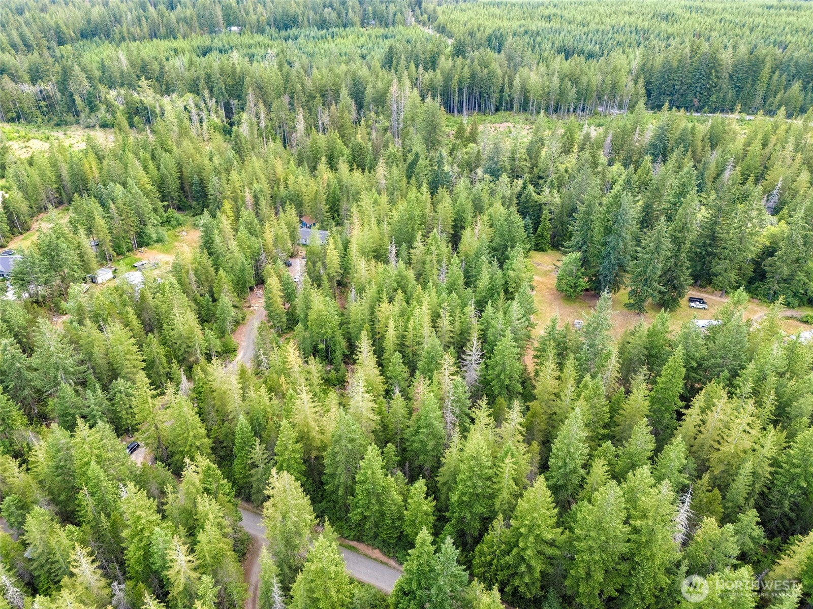 400 Northeast Trudeau Mountain Road Belfair, WA 98528 - Photo 25 of 32 a view of a lush green forest with lots of trees