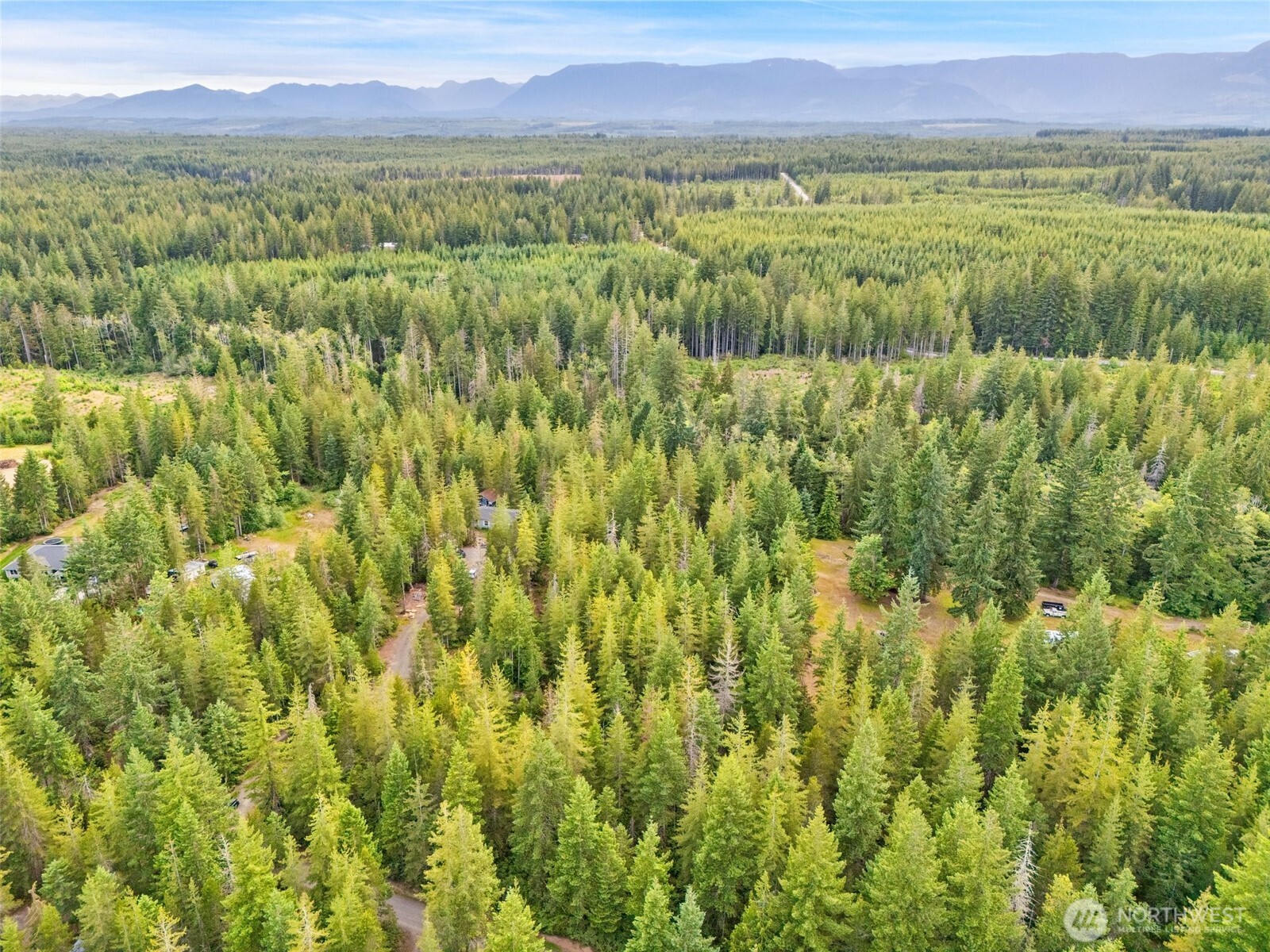 400 Northeast Trudeau Mountain Road Belfair, WA 98528 - Photo 26 of 32 a view of a lush green field