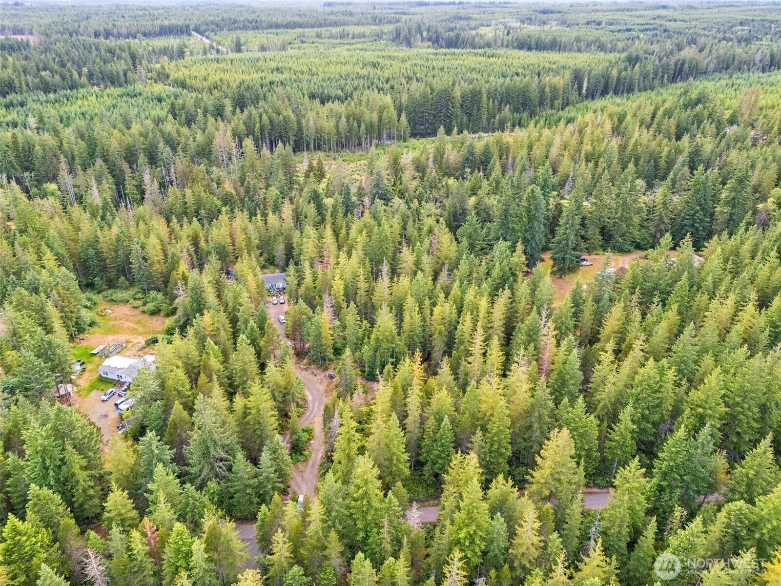 400 Northeast Trudeau Mountain Road Belfair, WA 98528 - Photo 28 of 32 a view of a lush green field