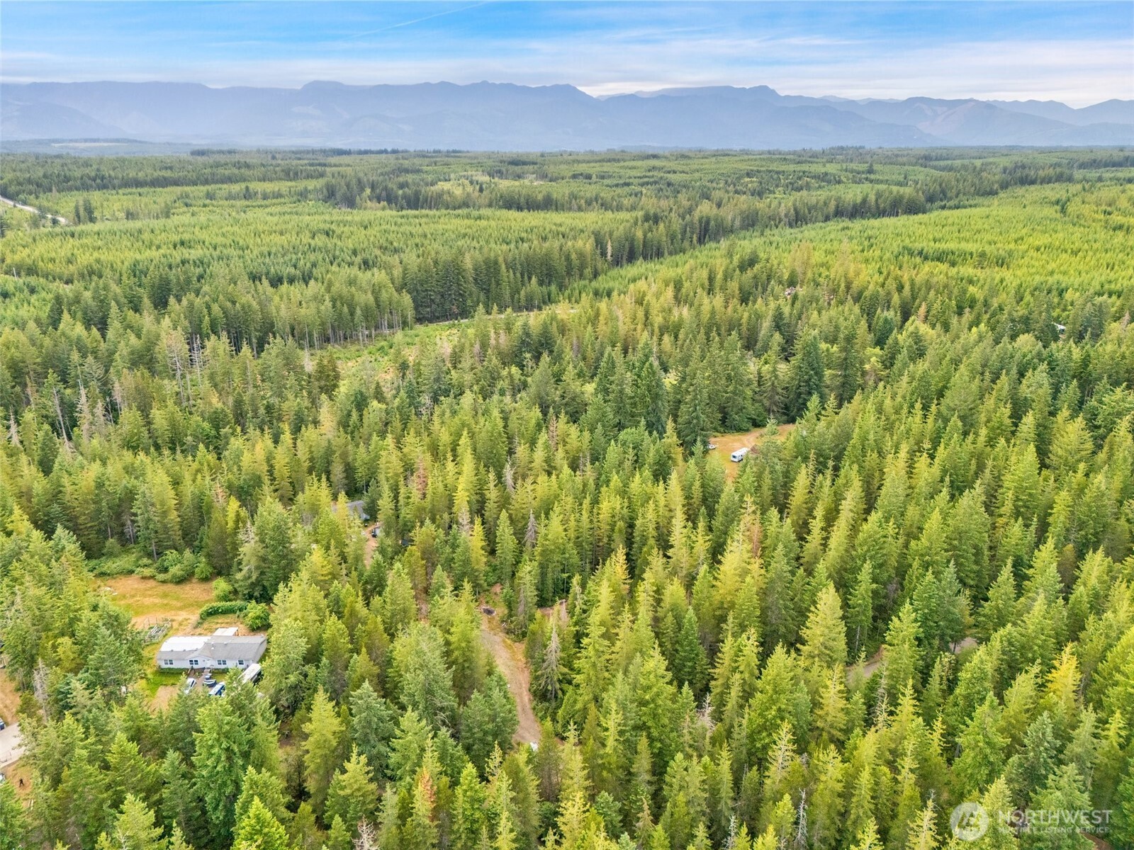 400 Northeast Trudeau Mountain Road Belfair, WA 98528 - Photo 29 of 32 a view of a lush green forest with trees and some houses