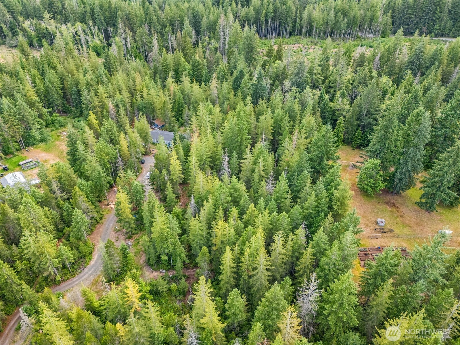 400 Northeast Trudeau Mountain Road Belfair, WA 98528 - Photo 31 of 32 a view of a lush green field