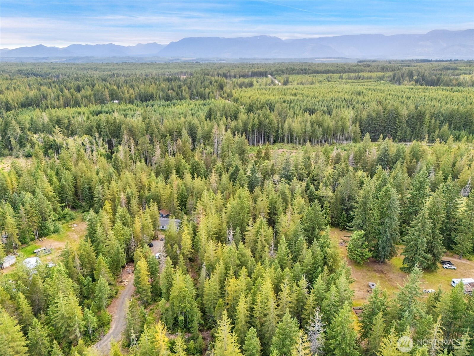 400 Northeast Trudeau Mountain Road Belfair, WA 98528 - Photo 32 of 32 a view of a lush green hillside and a houses