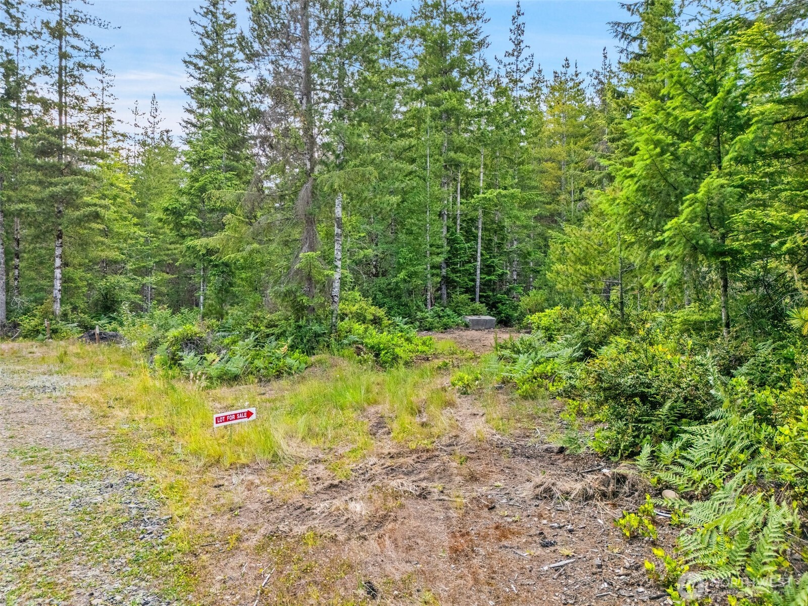 400 Northeast Trudeau Mountain Road Belfair, WA 98528 - Photo 7 of 32 a backyard of a house with lots of green space and chair