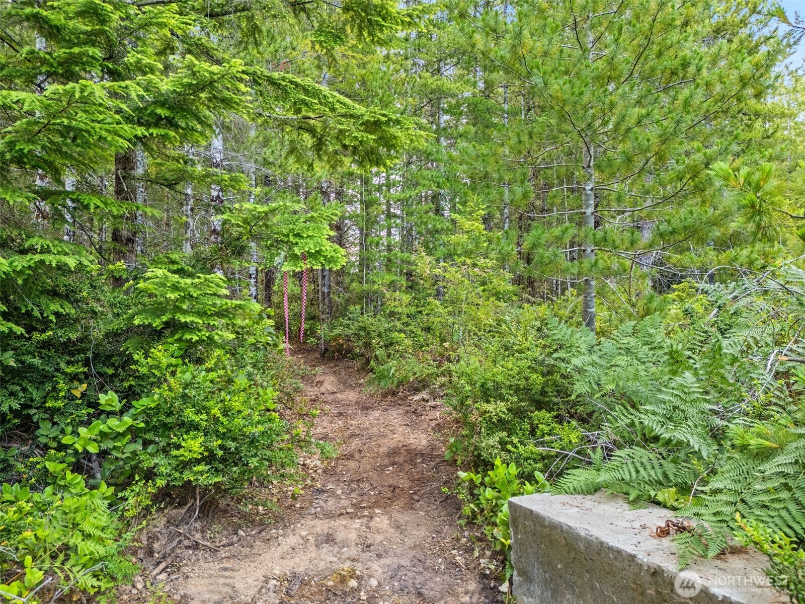 400 Northeast Trudeau Mountain Road Belfair, WA 98528 - Photo 9 of 32 a view of a garden with plants