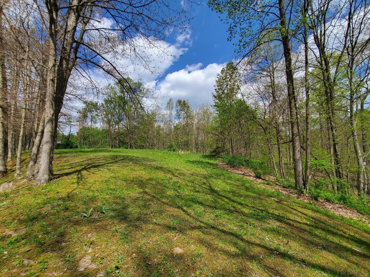 337 Pea Ridge Road Spencer, IN 47460 - Photo 33 of 34
