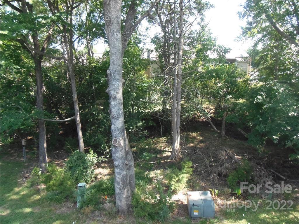11040 Cedar View Road Charlotte, NC 28226 - Photo 21 of 21 Gallery Image 21