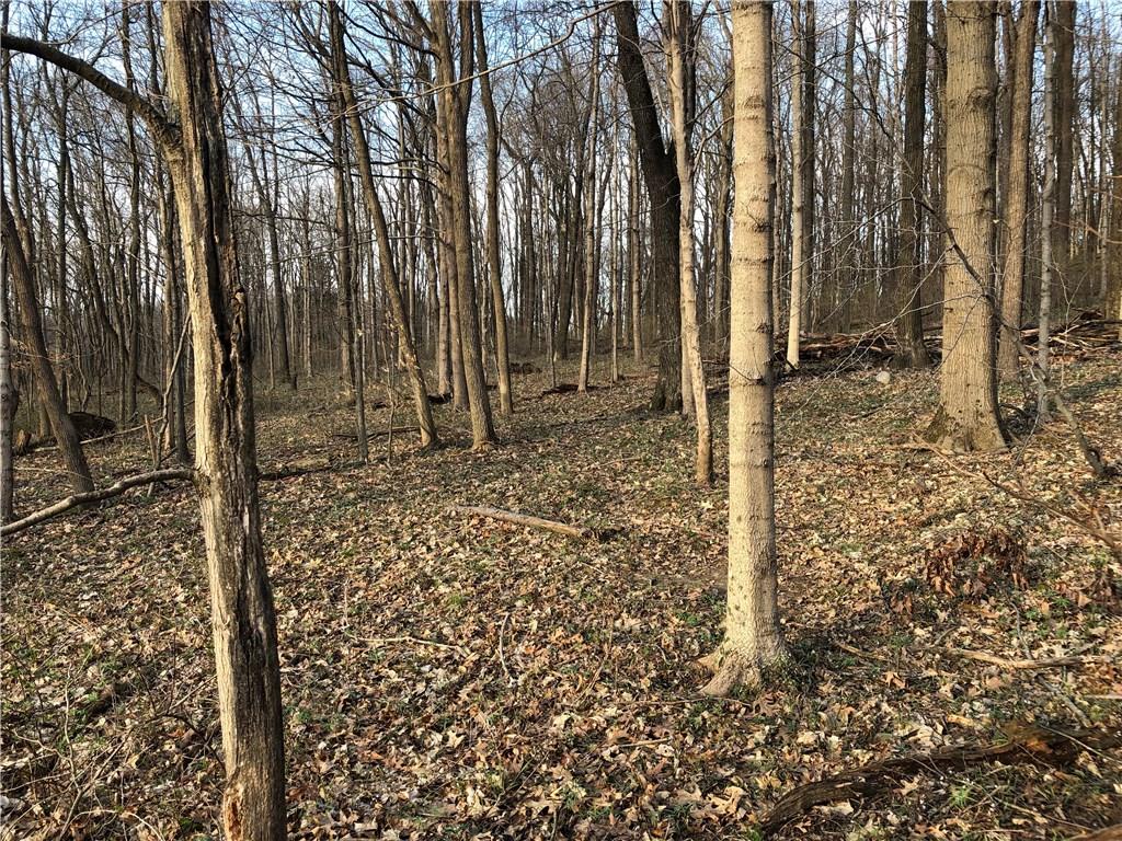 1063 South River Road Covington, IN 47932 - Photo 6 of 7