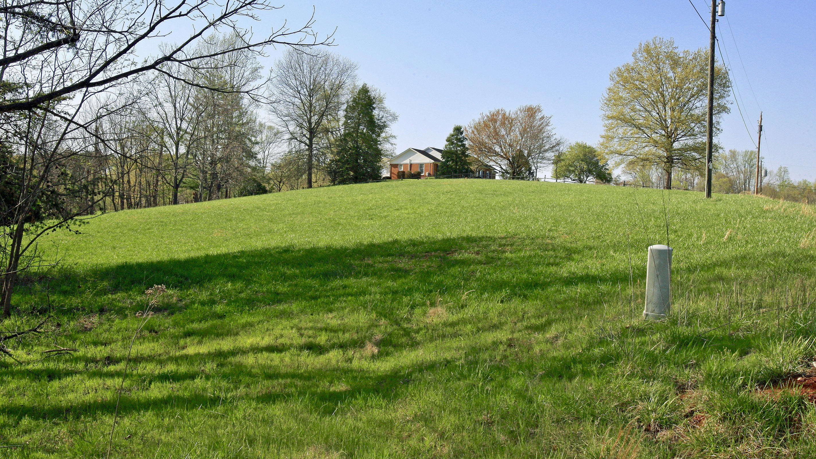 1229 Trails End Road Goodview, VA 24095 - Photo 102 of 106 a green field with lots of bushes