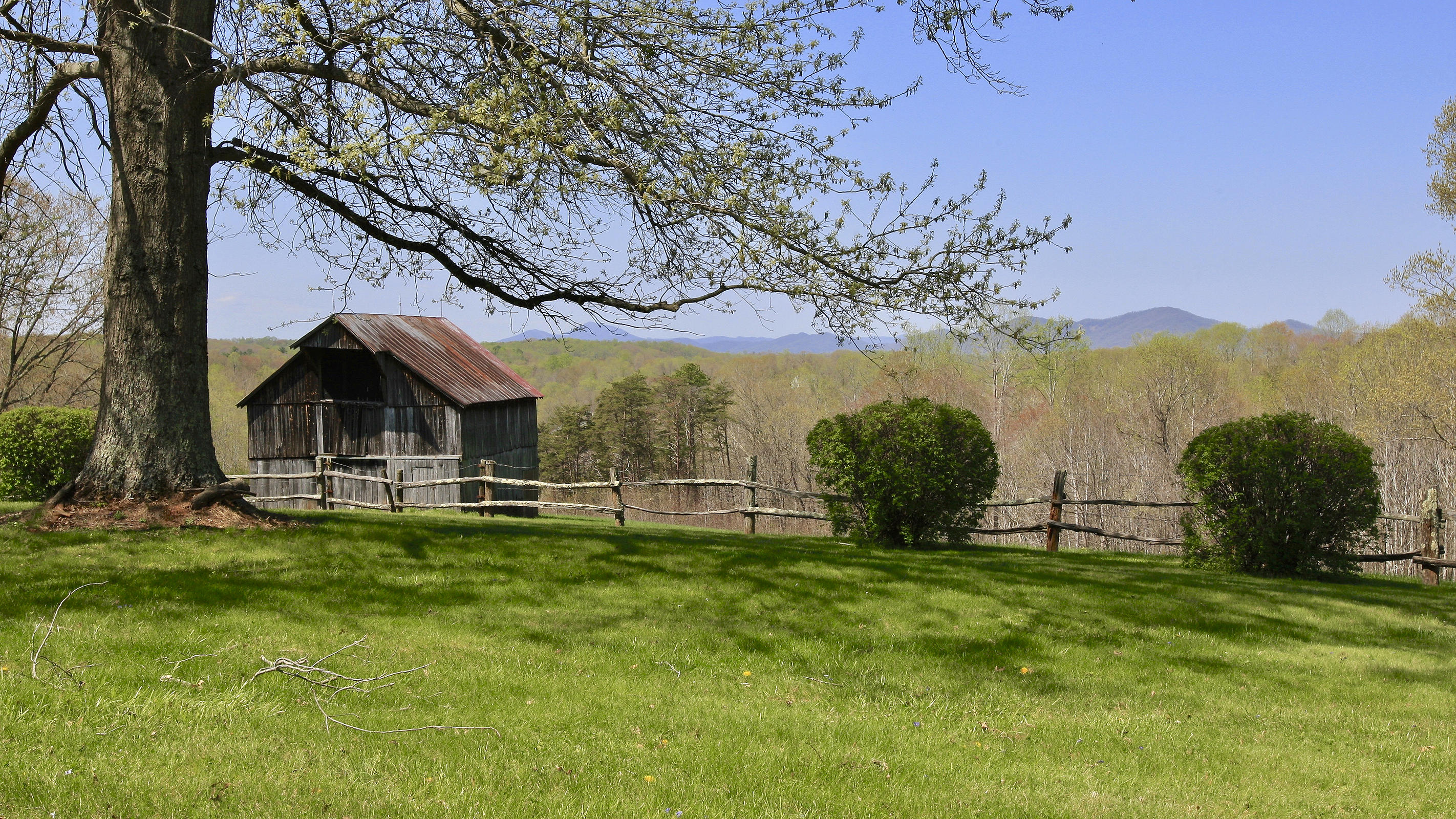 1229 Trails End Road Goodview, VA 24095 - Photo 15 of 106 a view of a garden with an outdoor space