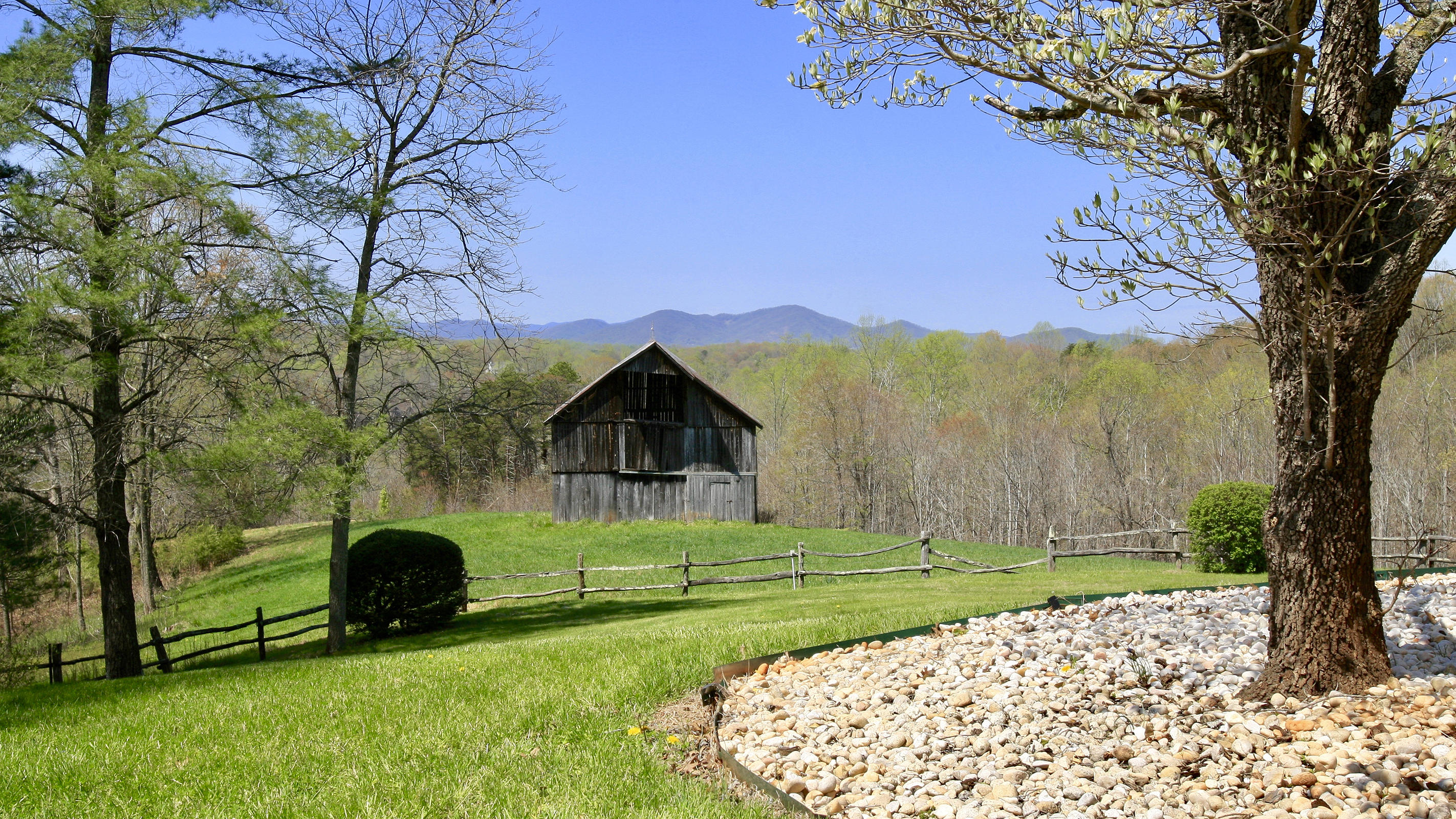 1229 Trails End Road Goodview, VA 24095 - Photo 16 of 106 a view of backyard with a barn and large trees