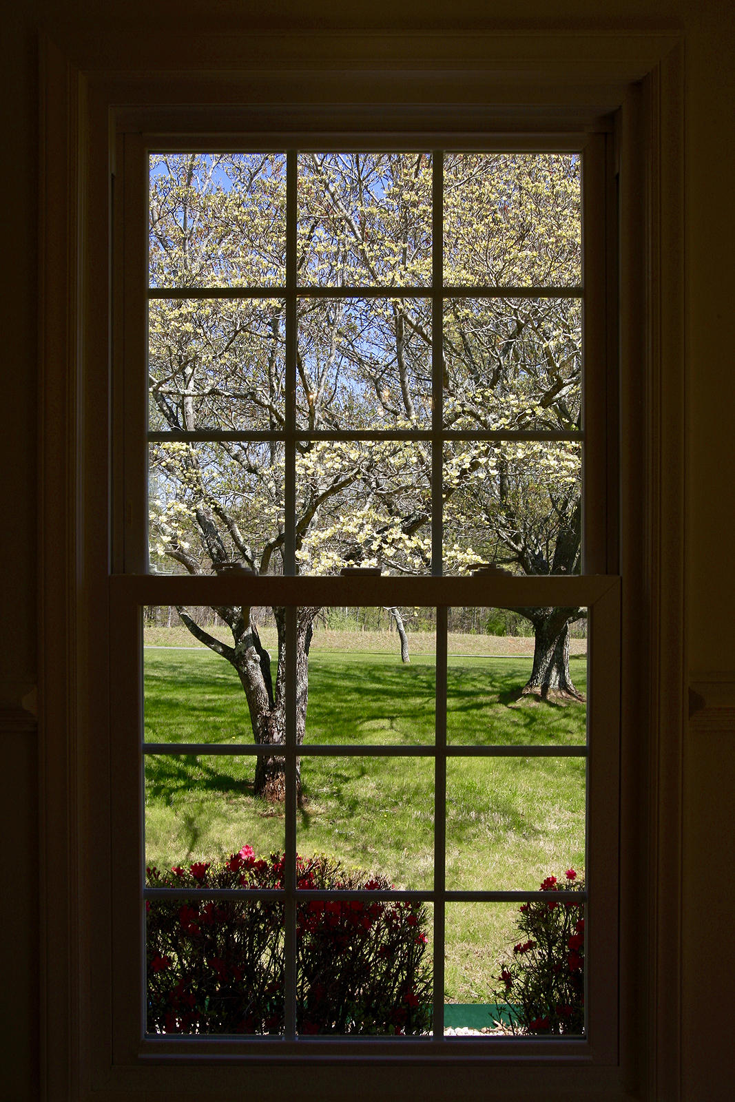 1229 Trails End Road Goodview, VA 24095 - Photo 61 of 106 BR #3 Window