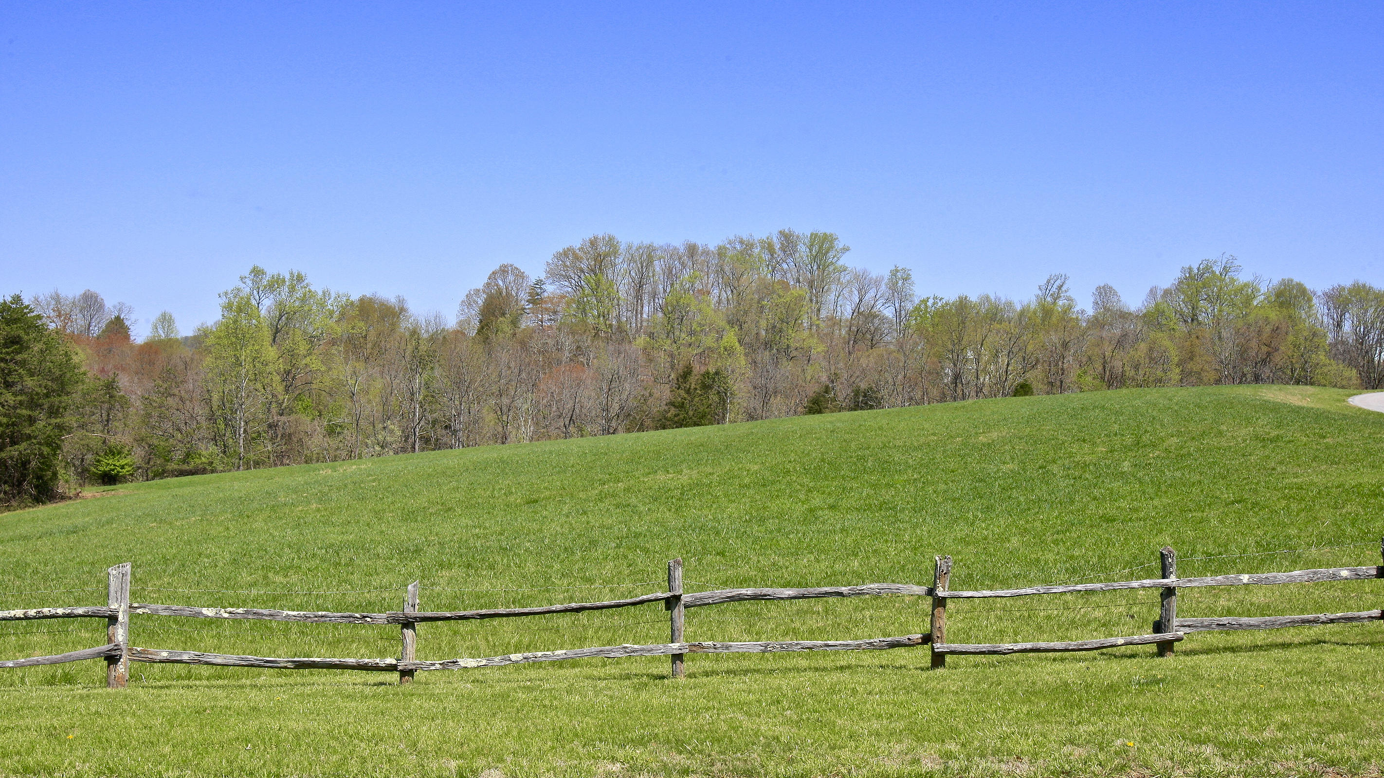 1229 Trails End Road Goodview, VA 24095 - Photo 8 of 106 a view of a field with grass and wooden fence