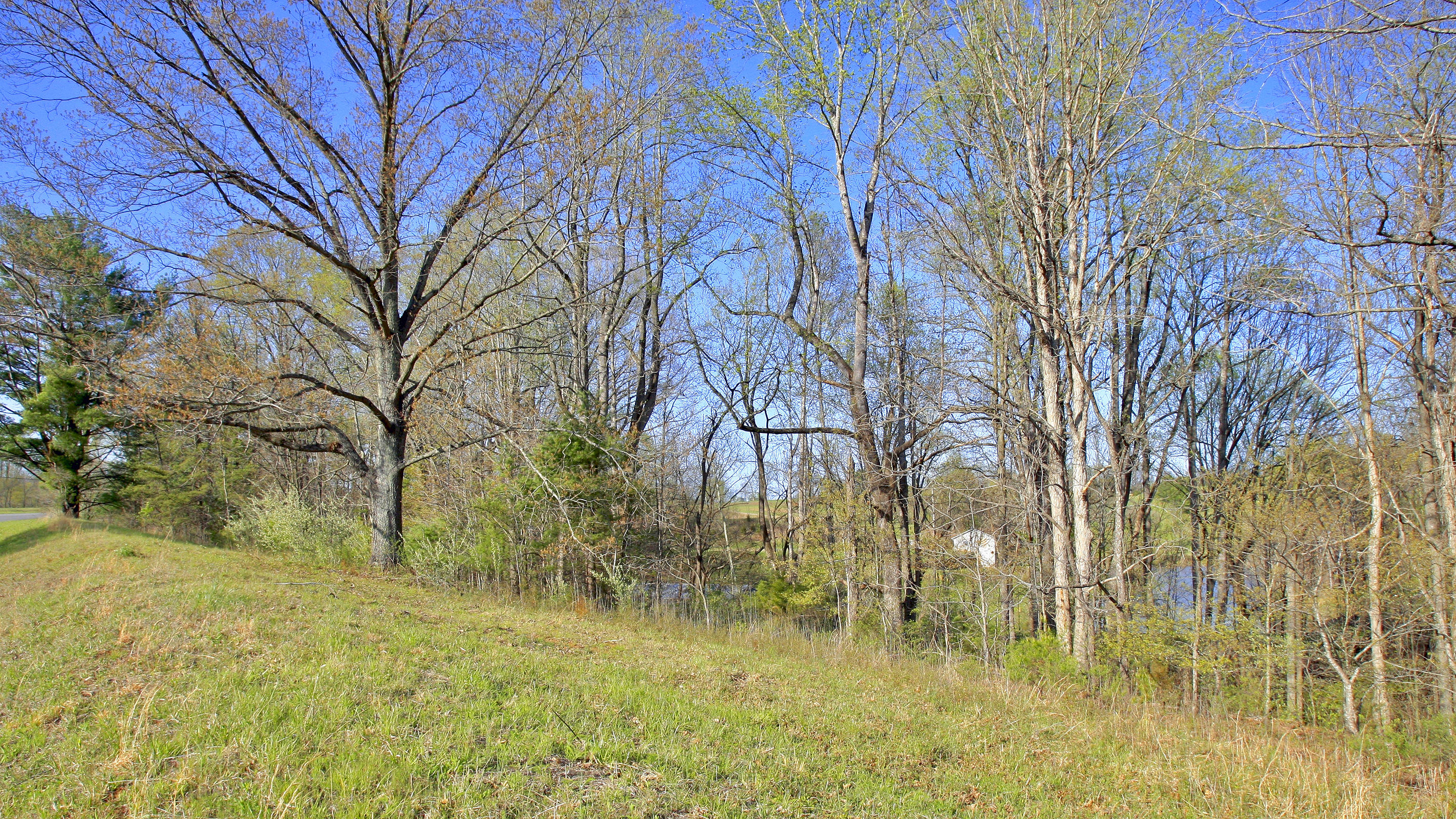 1229 Trails End Road Goodview, VA 24095 - Photo 98 of 106 a backyard of a house with large trees and outdoor space
