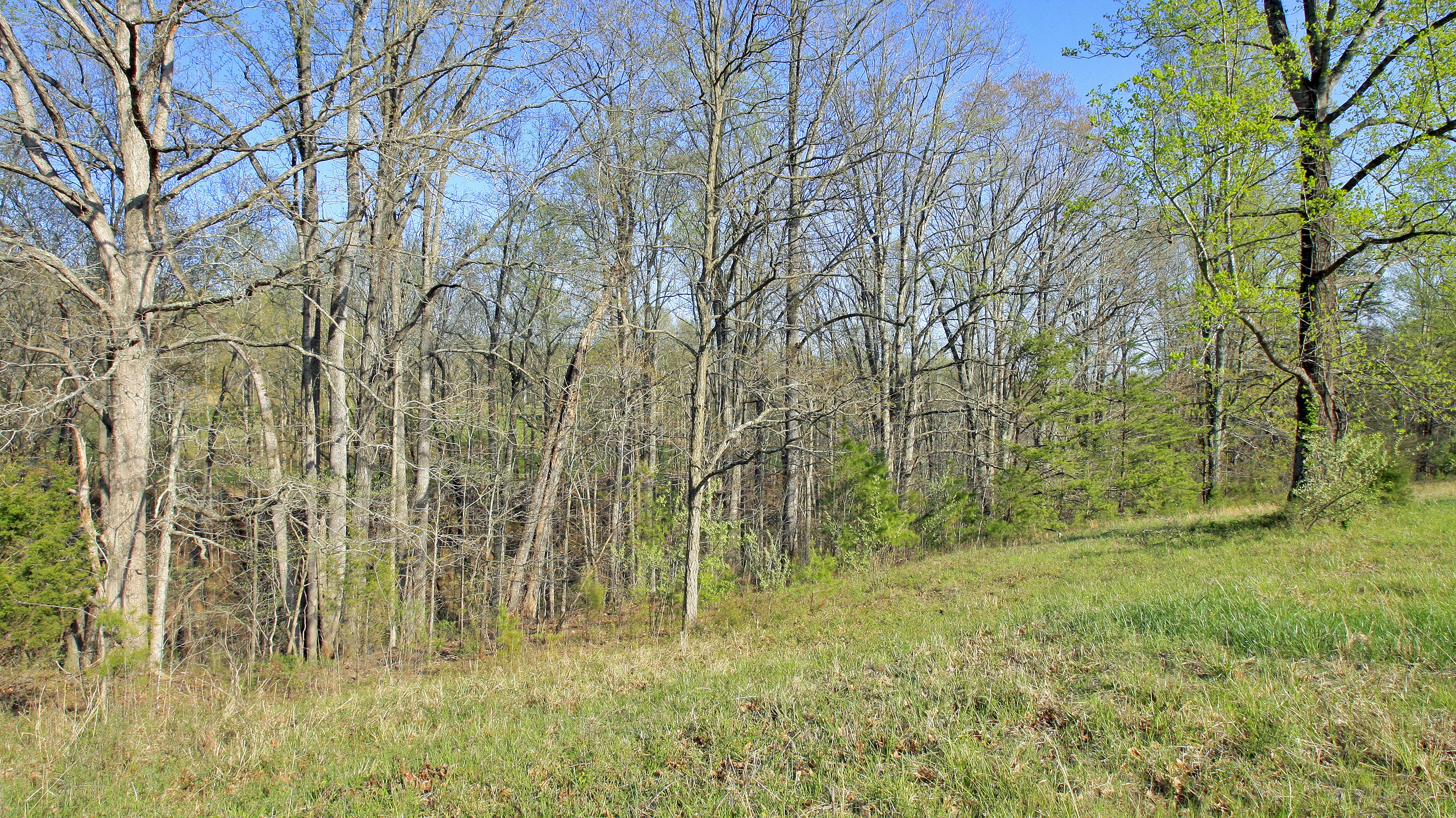 1229 Trails End Road Goodview, VA 24095 - Photo 99 of 106 _V4B4675
