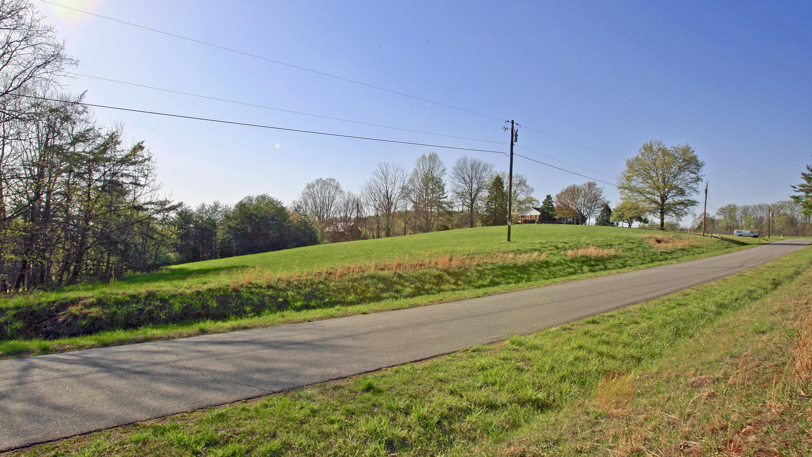 1229 Trails End Road Goodview, VA 24095 - Photo 100 of 106 12 ACRES PASTURE AND 21 ACRES WOODS