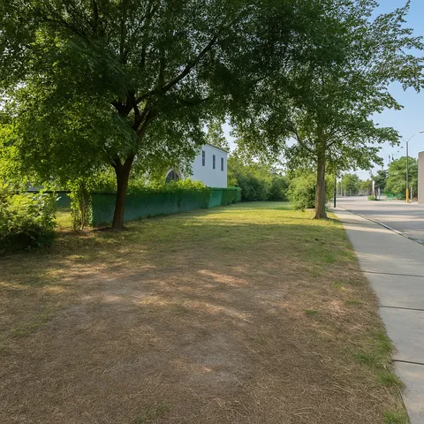 a view of a field with trees in front of it