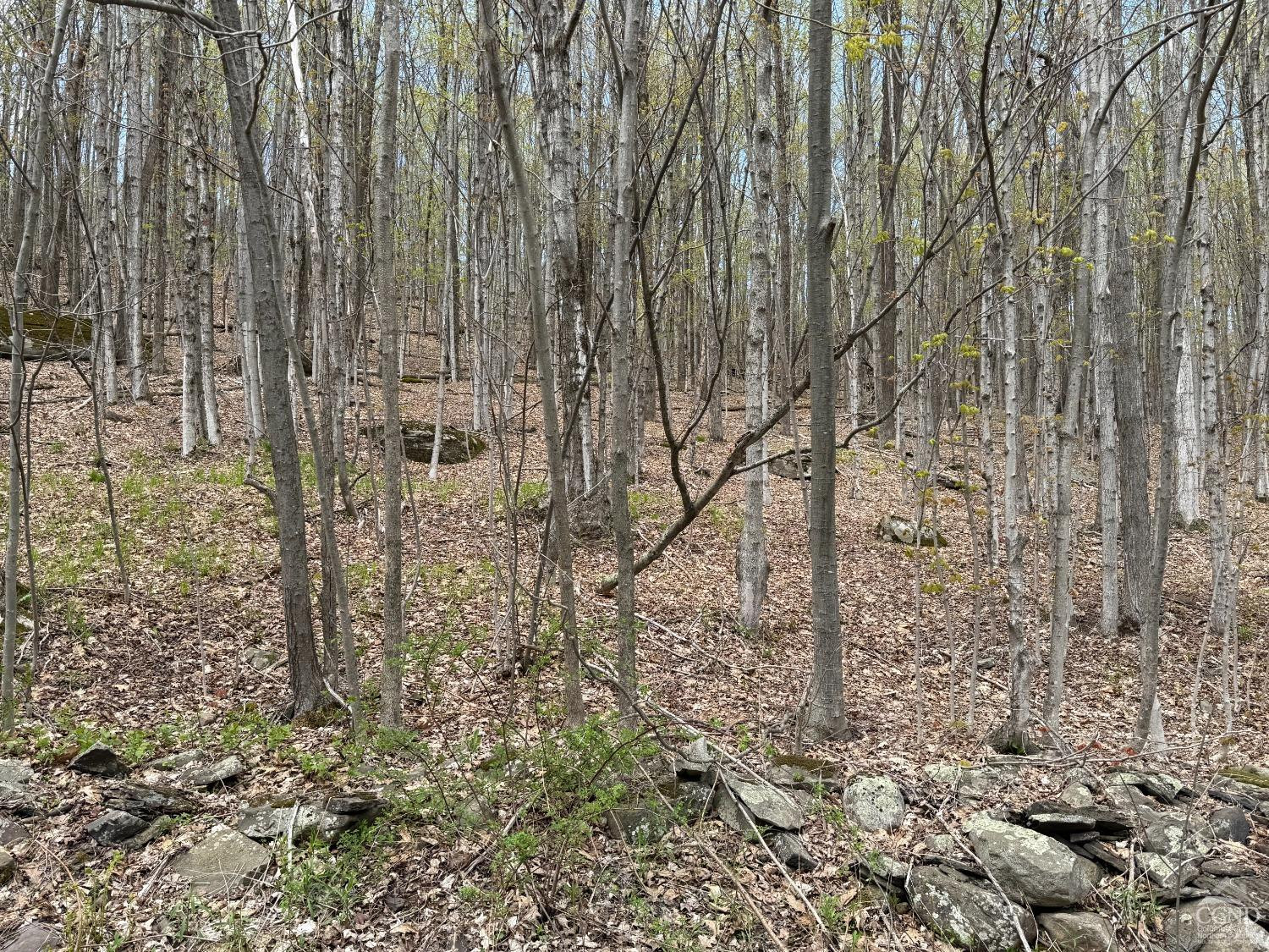 760 County Route 10 Windham, NY 12496 - Photo 13 of 27 a view of a pathway