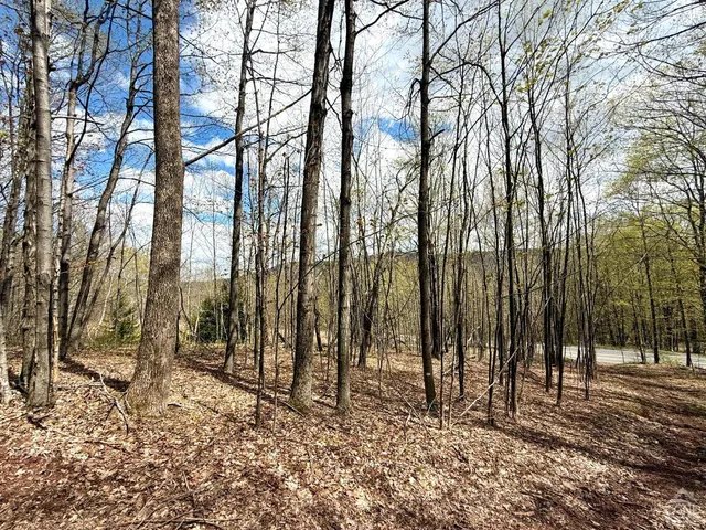a view of a dry yard