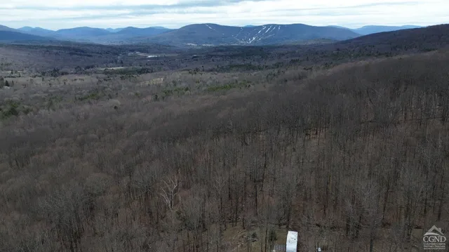 a view of a house with a mountain and a forest