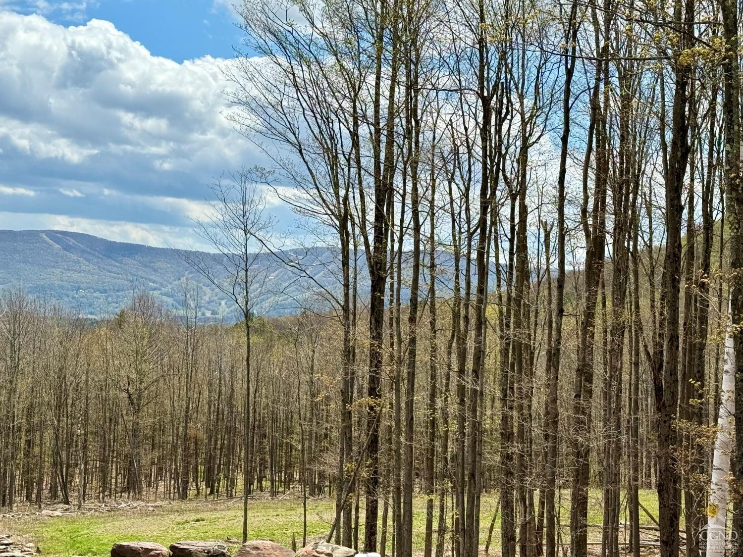 760 County Route 10 Windham, NY 12496 - Photo 25 of 27