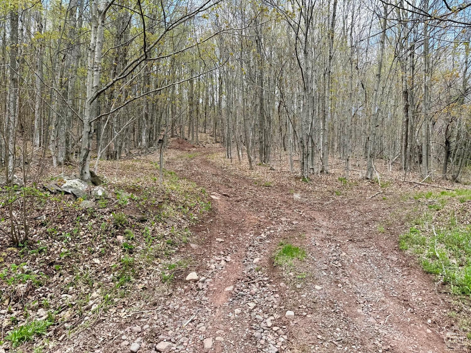 760 County Route 10 Windham, NY 12496 - Photo 4 of 27 a backyard of a house with lots of green space