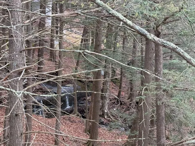 a view of outdoor space with lots of trees