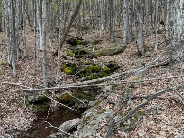 a view of outdoor space with trees